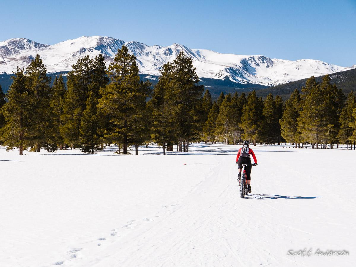 A person riding a fat bike on a snowy trail surrounded by evergreen trees, with snow-capped mountains in the background under a clear blue sky. Mount Massive Golf Course and Nordic Center mountain bike trail.