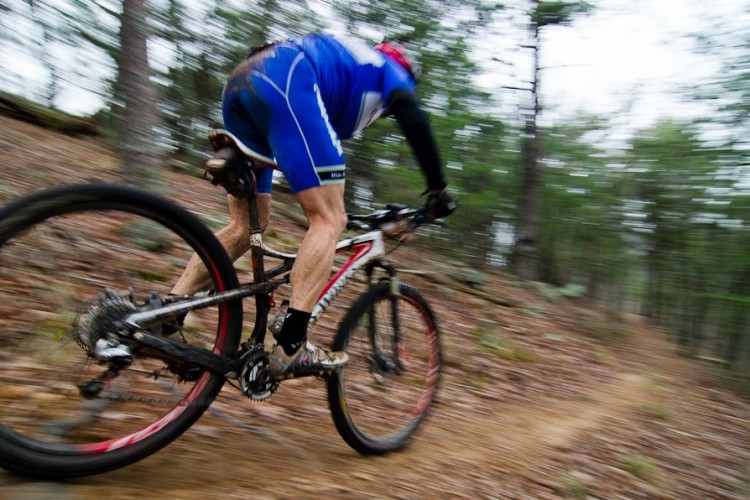 A blurred image of a mountain biker in motion, wearing a blue cycling jersey and shorts, riding on a dirt trail surrounded by trees. The bike is equipped with knobby tires, and the scene conveys a sense of speed and adventure. The ground is covered with fallen leaves, suggesting a forested area.