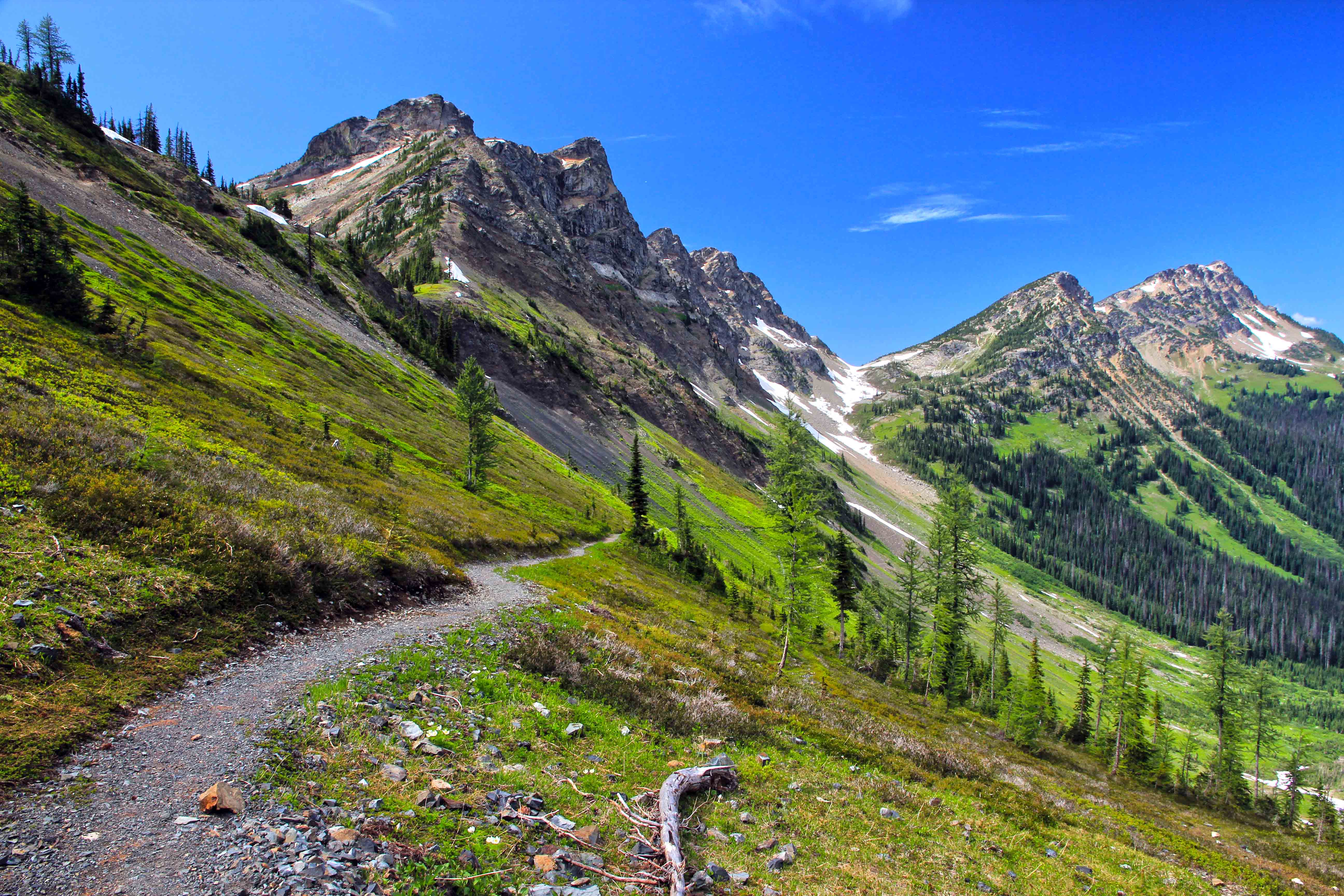 96 Of Mountain Bikers Think Wilderness Should Be Opened To Bikes 