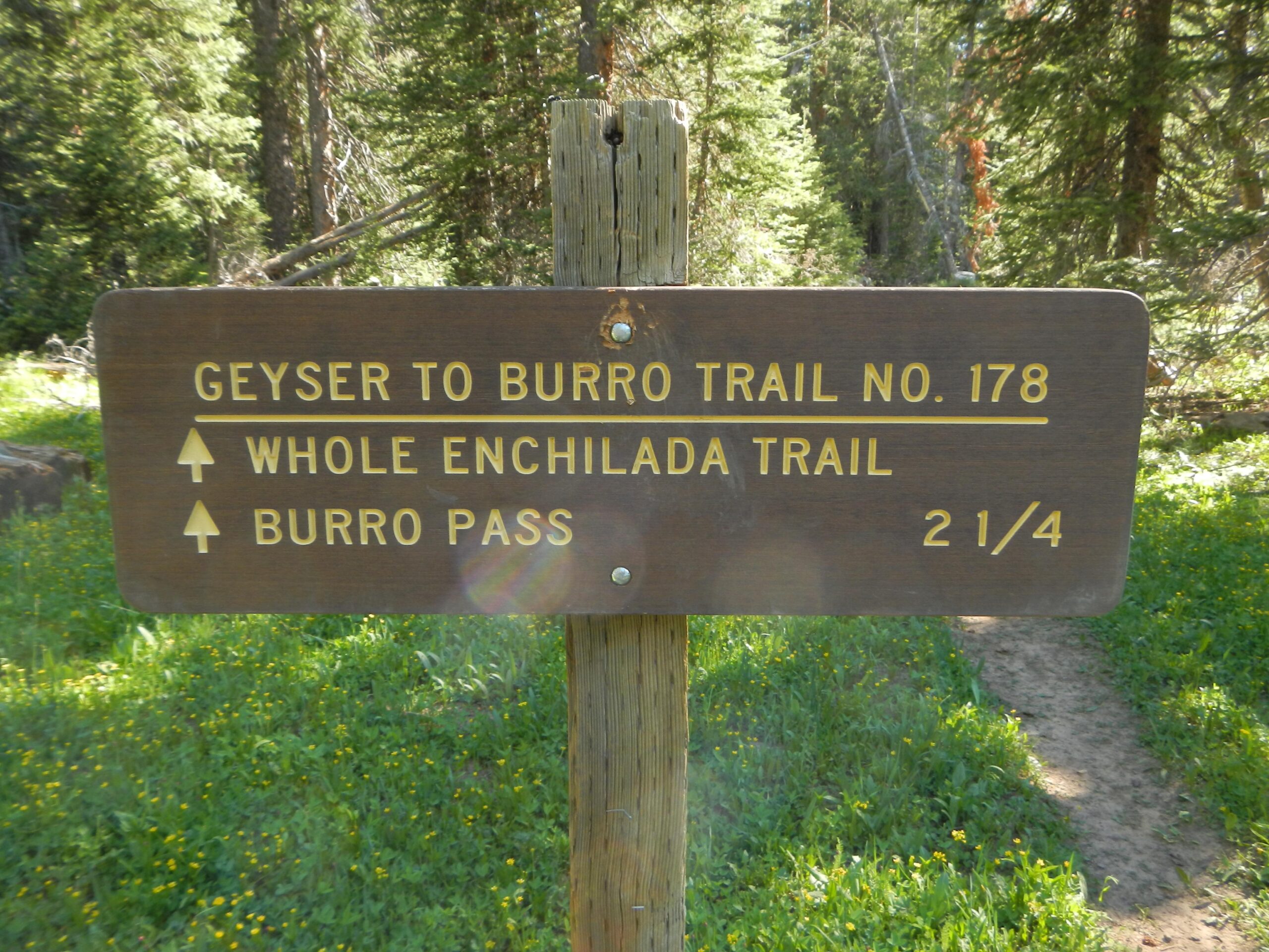 A wooden trail sign indicating directions for the Geyser to Burro Trail No. 178, with arrows pointing to the Whole Enchilada Trail and Burro Pass, noting the distance to Burro Pass as 2 1/4 miles. The background features a wooded area with greenery and wildflowers. The Whole Enchilada mountain bike trail.