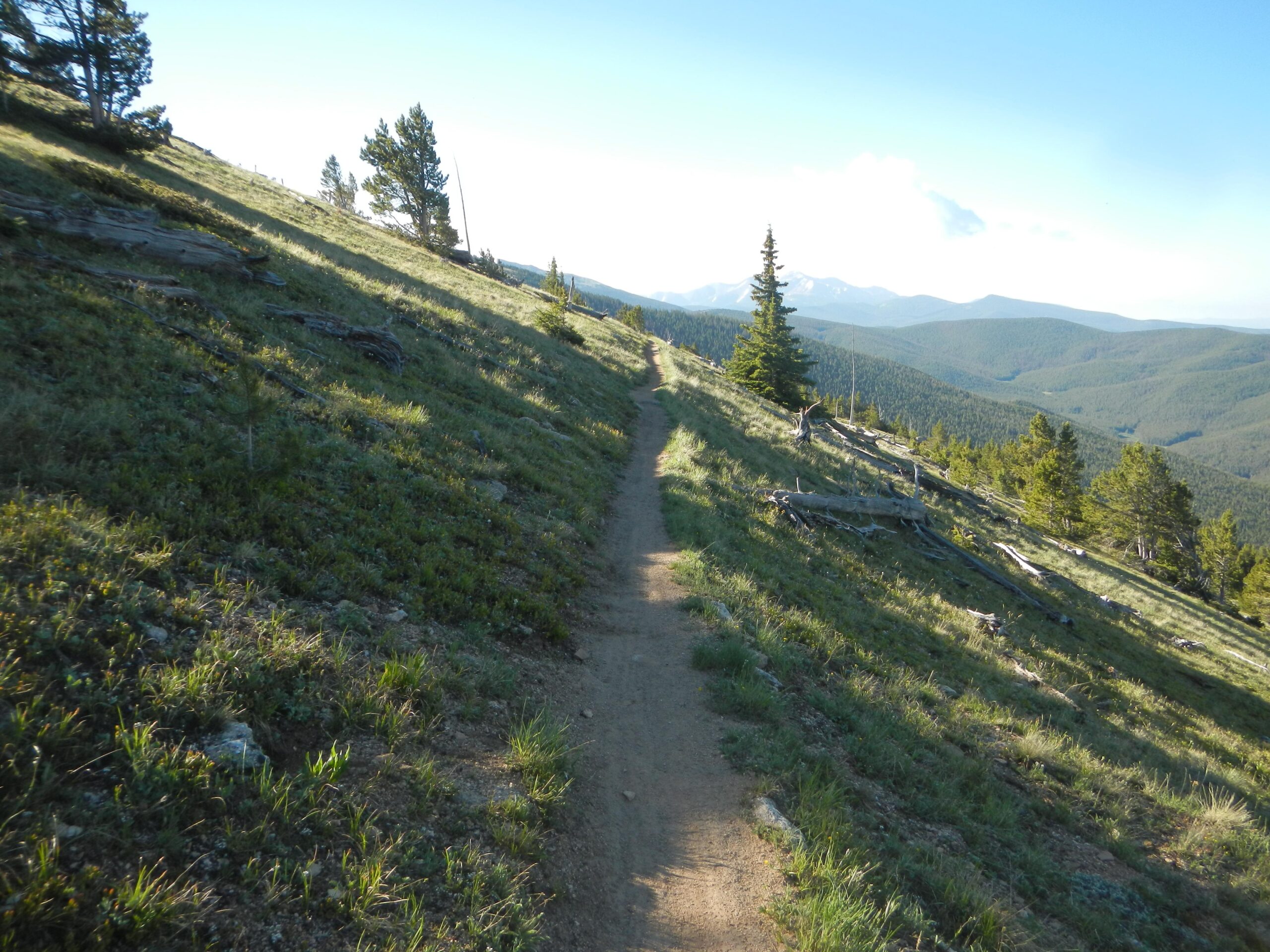 A winding dirt trail on a grassy hillside, surrounded by scattered logs and trees, with a panoramic view of rolling mountains in the background under a clear blue sky. Monarch Crest Trail mountain bike trail.