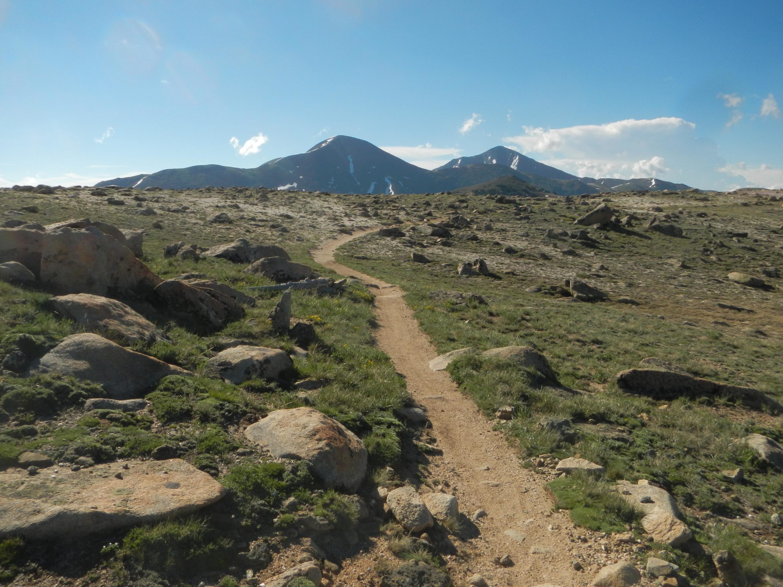 A rocky hiking trail winding through a grassy landscape, with mountains in the background under a clear blue sky. The terrain features large boulders and patches of green grass. Monarch Crest Trail mountain bike trail.