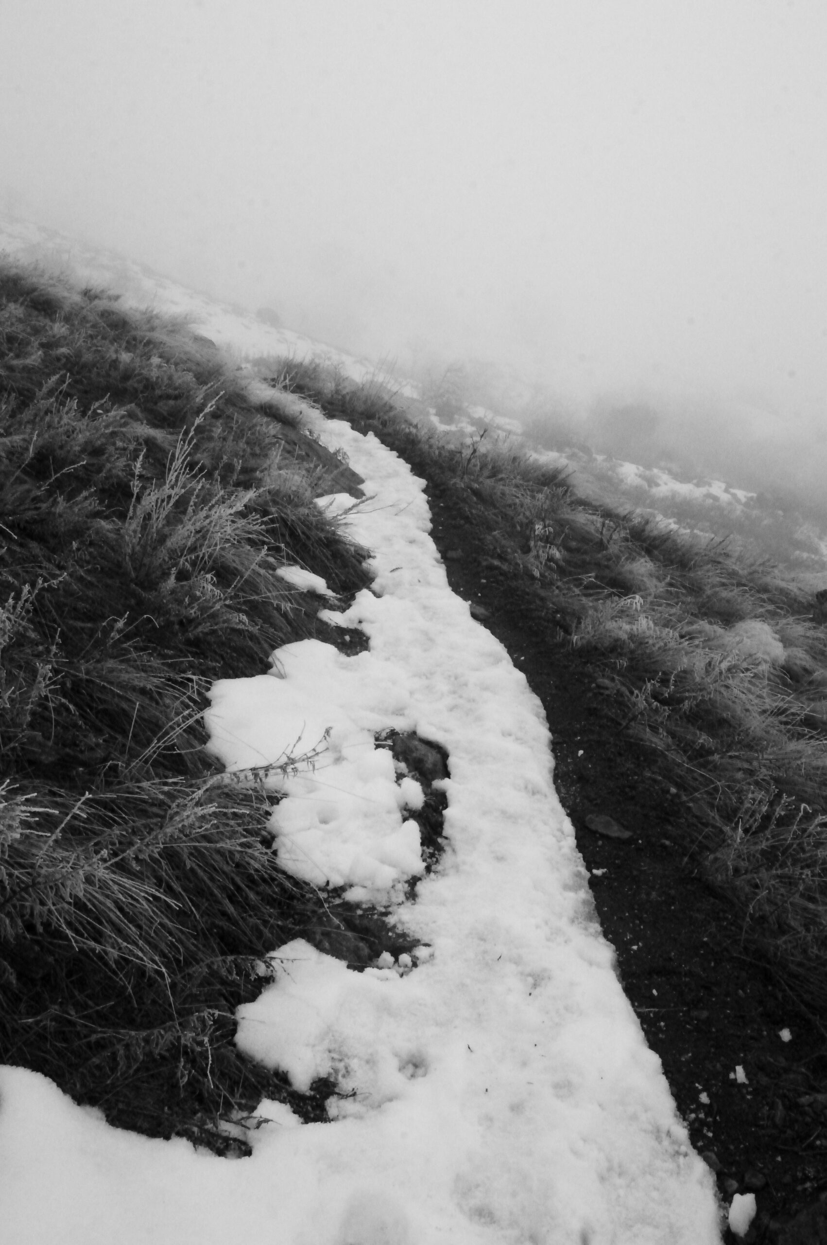 A winding path through foggy terrain, featuring patches of snow alongside dark earth and sparse grass. The scene is in black and white, creating a serene and atmospheric mood. Bonneville Shoreline Trail - Ogden Section mountain bike trail.