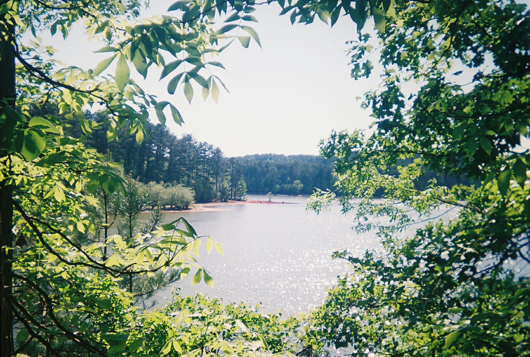 A serene view of a lake framed by lush green leaves and trees, with sunlight reflecting off the water's surface. The landscape includes a sandy area on the shore and a backdrop of wooded hills under a clear blue sky. Blankets Creek mountain bike trail.