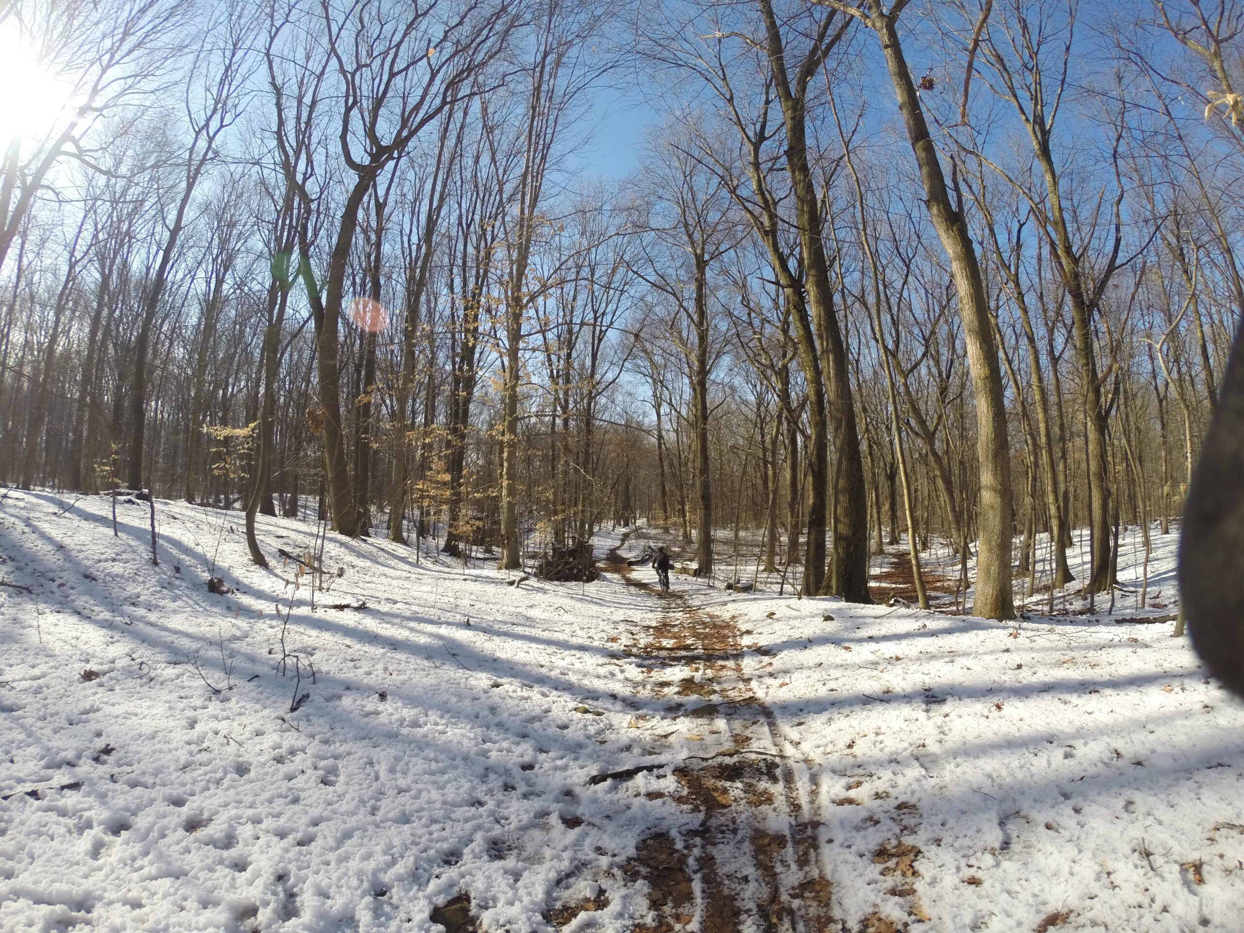 A snow-covered forest trail surrounded by bare trees, with sunlight filtering through the branches. Shadows are cast on the ground, showcasing a serene winter landscape. A person can be seen walking along the path. Richmond Avenue and Forest Hill road mountain bike trail.