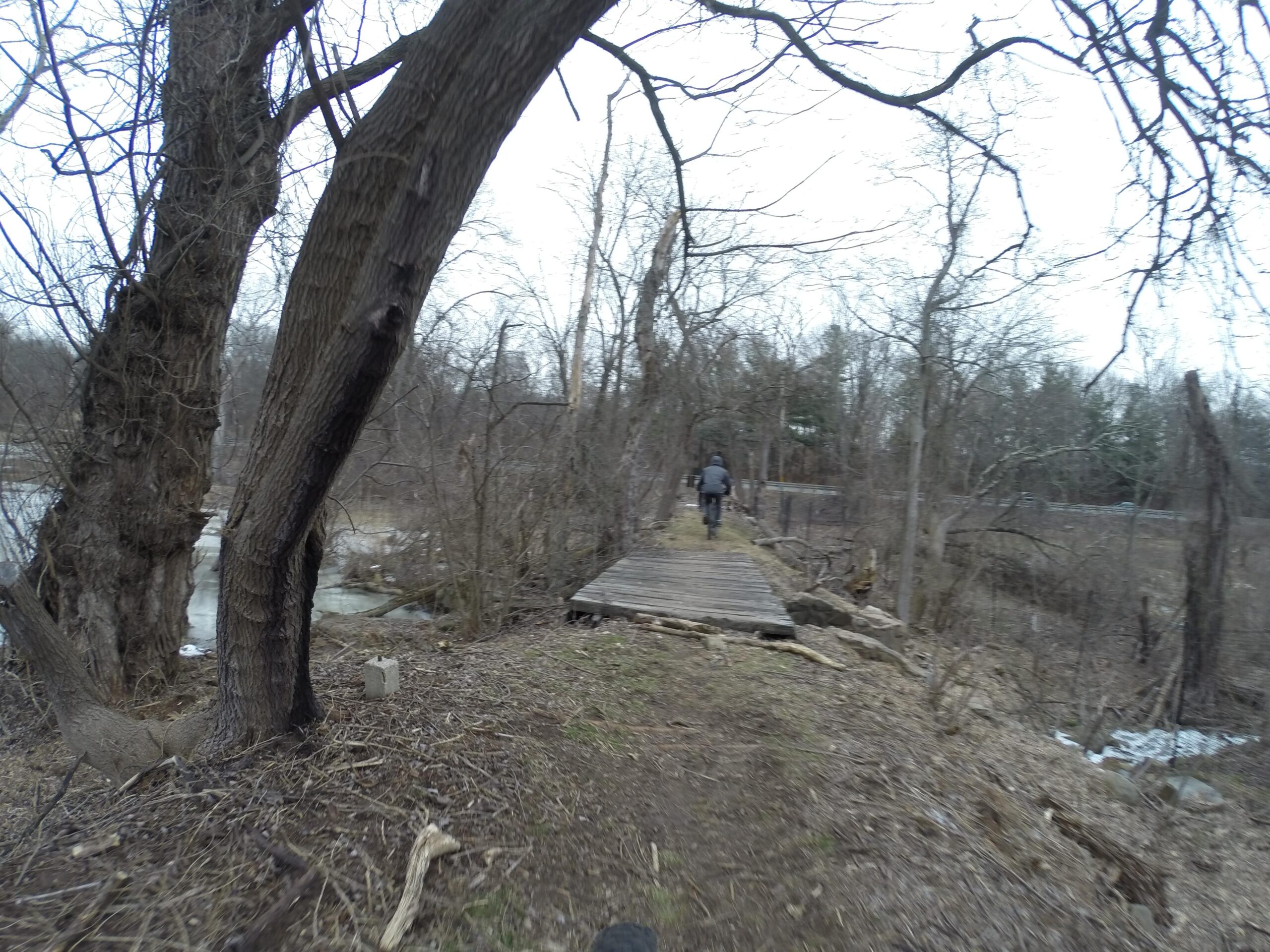 A narrow wooden path leads through a forested area with bare trees, along the edge of a body of water. A person rides a bicycle along the path, surrounded by dried grass and twigs. The scene has a cloudy sky, suggesting a cool, overcast day. Richmond Avenue and Forest Hill road mountain bike trail.