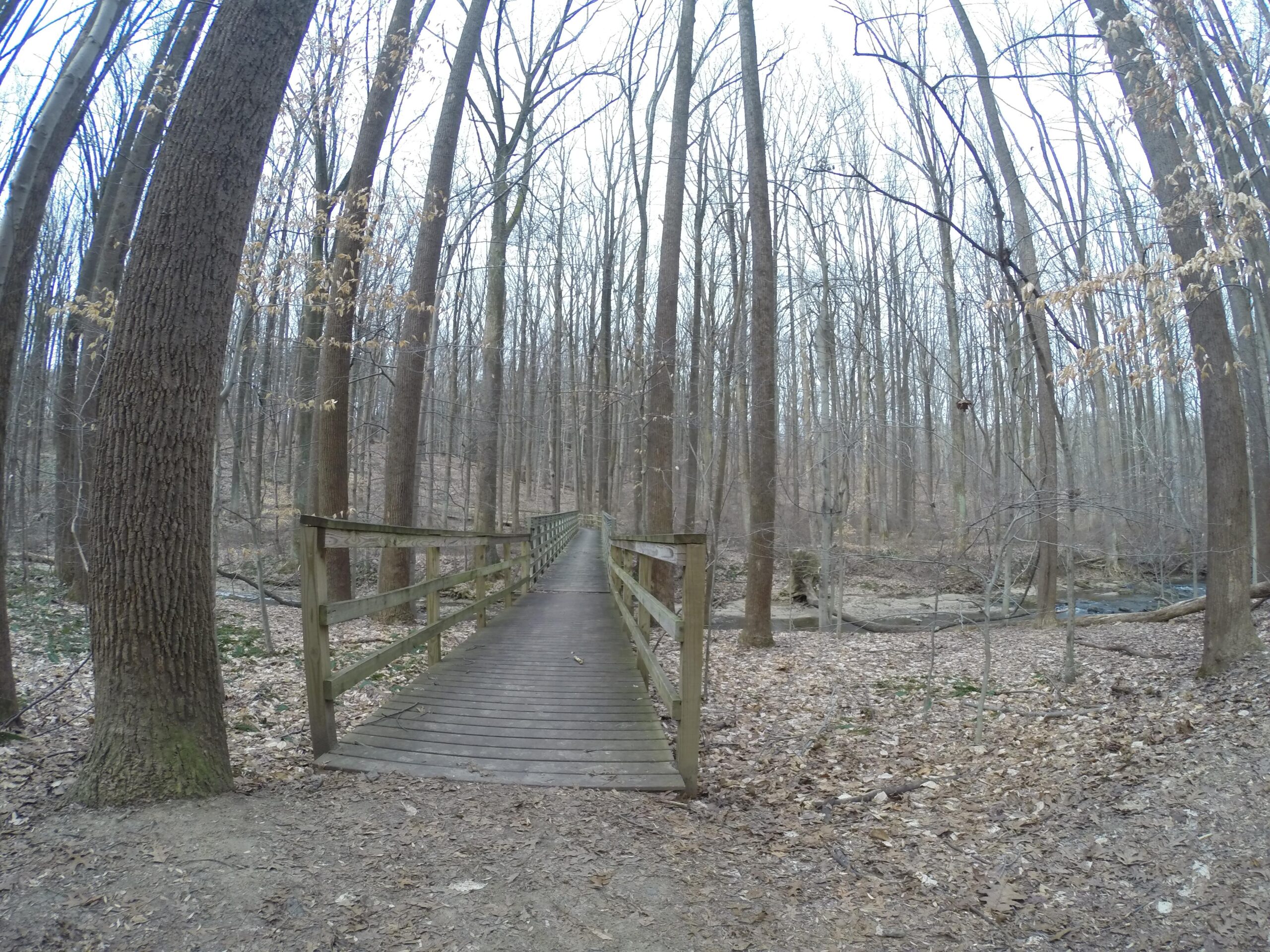 A wooden bridge crossing a small stream in a forest during early spring. The trees are bare, with a few remnants of leaves on the branches. The forest floor is covered in dry leaves, and the atmosphere appears calm and serene. White Clay Creek mountain bike trail.