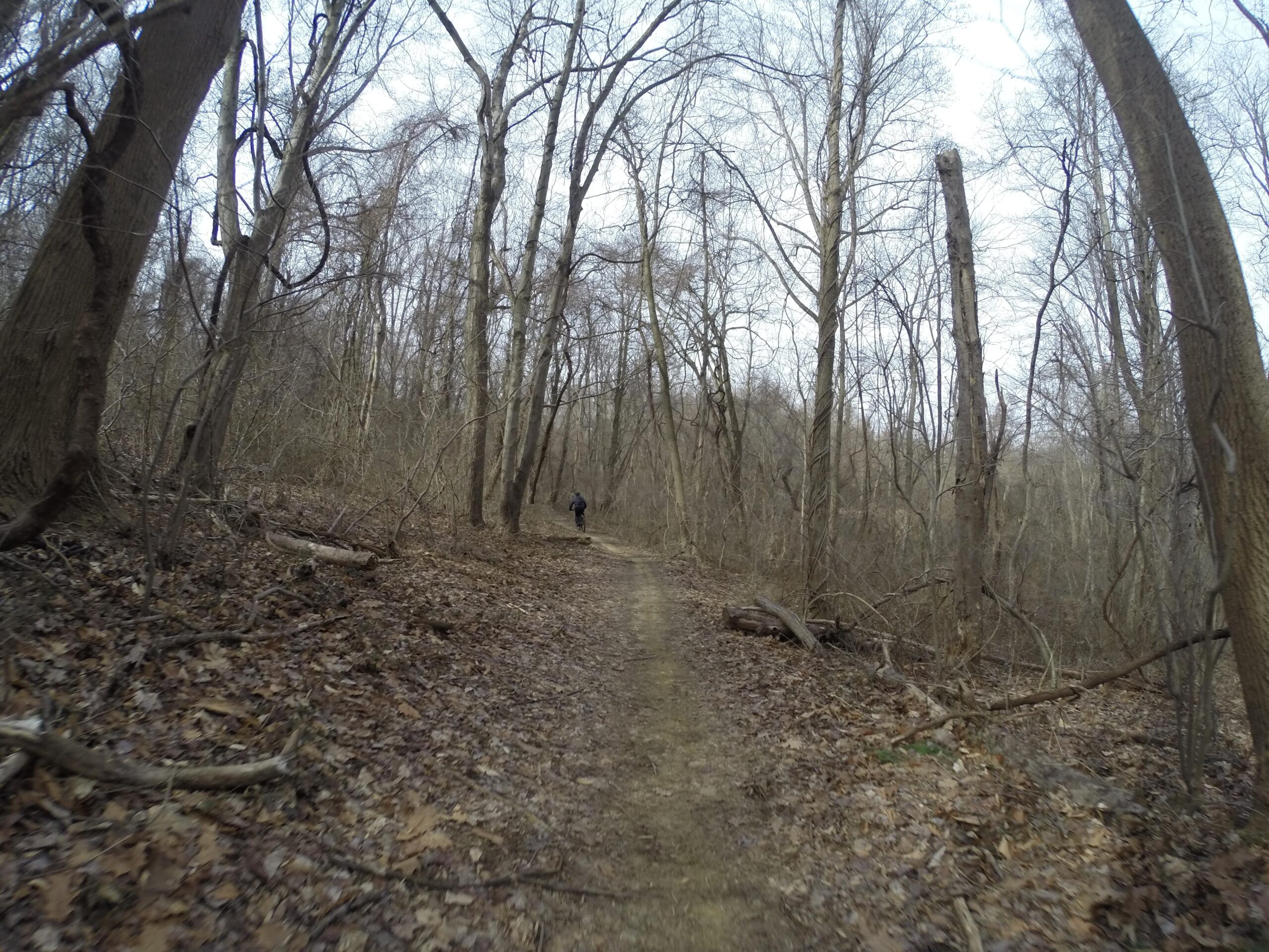 A person walking along a narrow dirt trail in a sparse, wooded area during early spring. Leafless trees line the path, and dry leaves cover the ground, creating a rustic atmosphere. The sky is overcast, suggesting a cool or chilly day. White Clay Creek mountain bike trail.