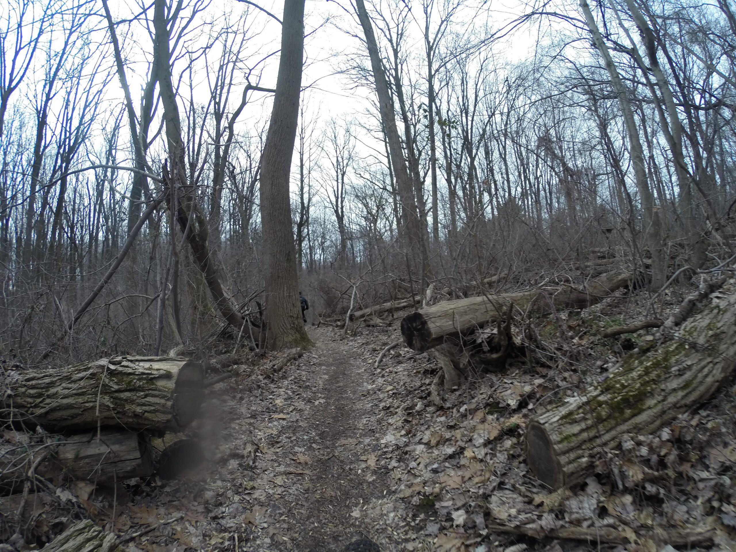 A narrow dirt path winding through a wooded area, with bare trees and fallen logs on either side. The landscape is covered in dry leaves, and a person in the distance is walking along the trail under a cloudy sky. White Clay Creek mountain bike trail.