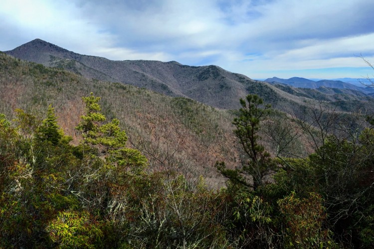 A panoramic view of rolling mountains covered in varying shades of green and brown foliage under a partly cloudy sky. The foreground features lush trees, while the background reveals peaks and valleys stretching into the distance.