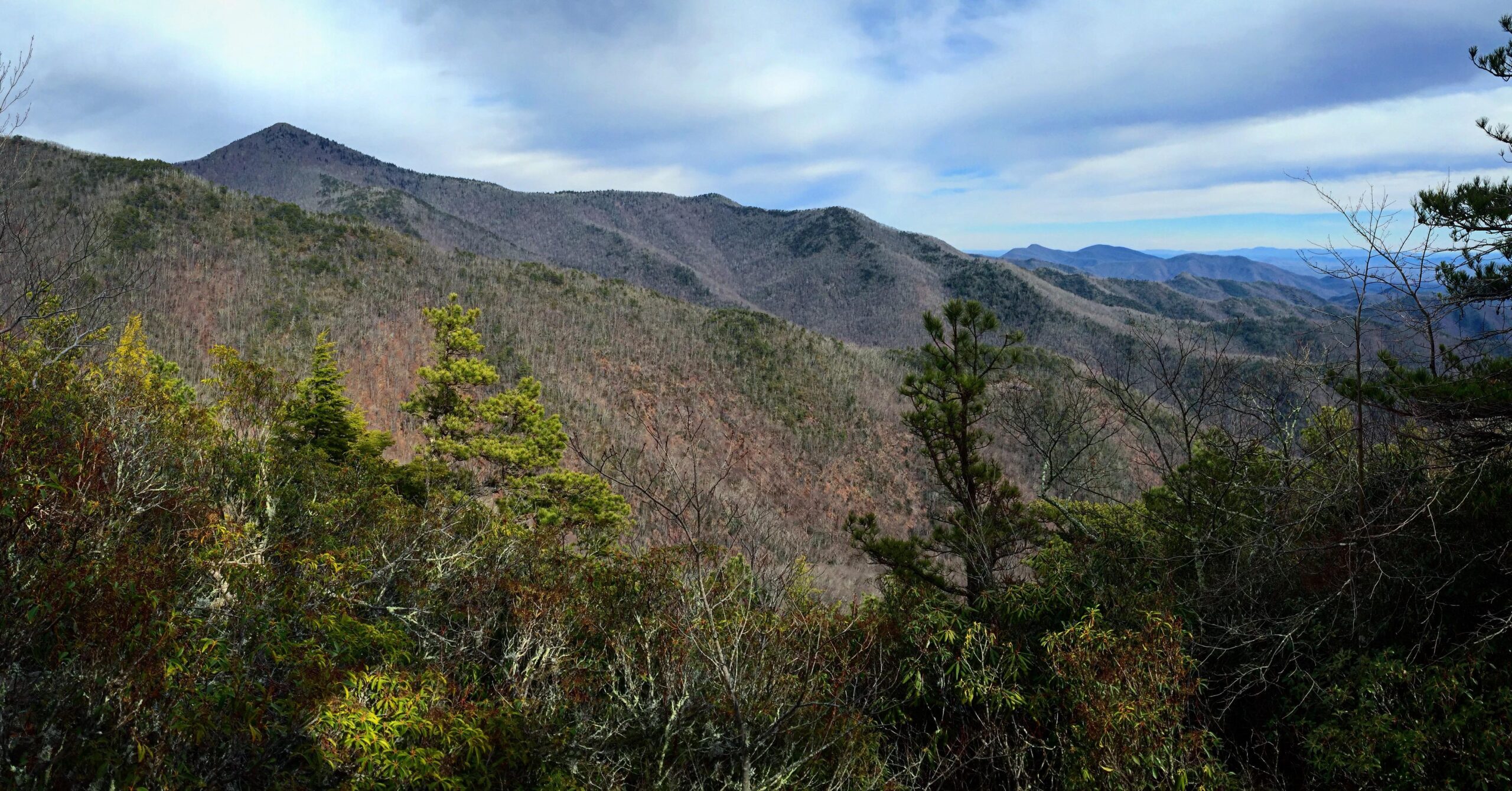 A panoramic view of rolling mountains under a cloudy sky, featuring a mix of evergreen and deciduous trees in the foreground and distant peaks in the background. The landscape exhibits a variety of colors and textures, highlighting the natural beauty of the mountainous region. Old Toll Road mountain bike trail.