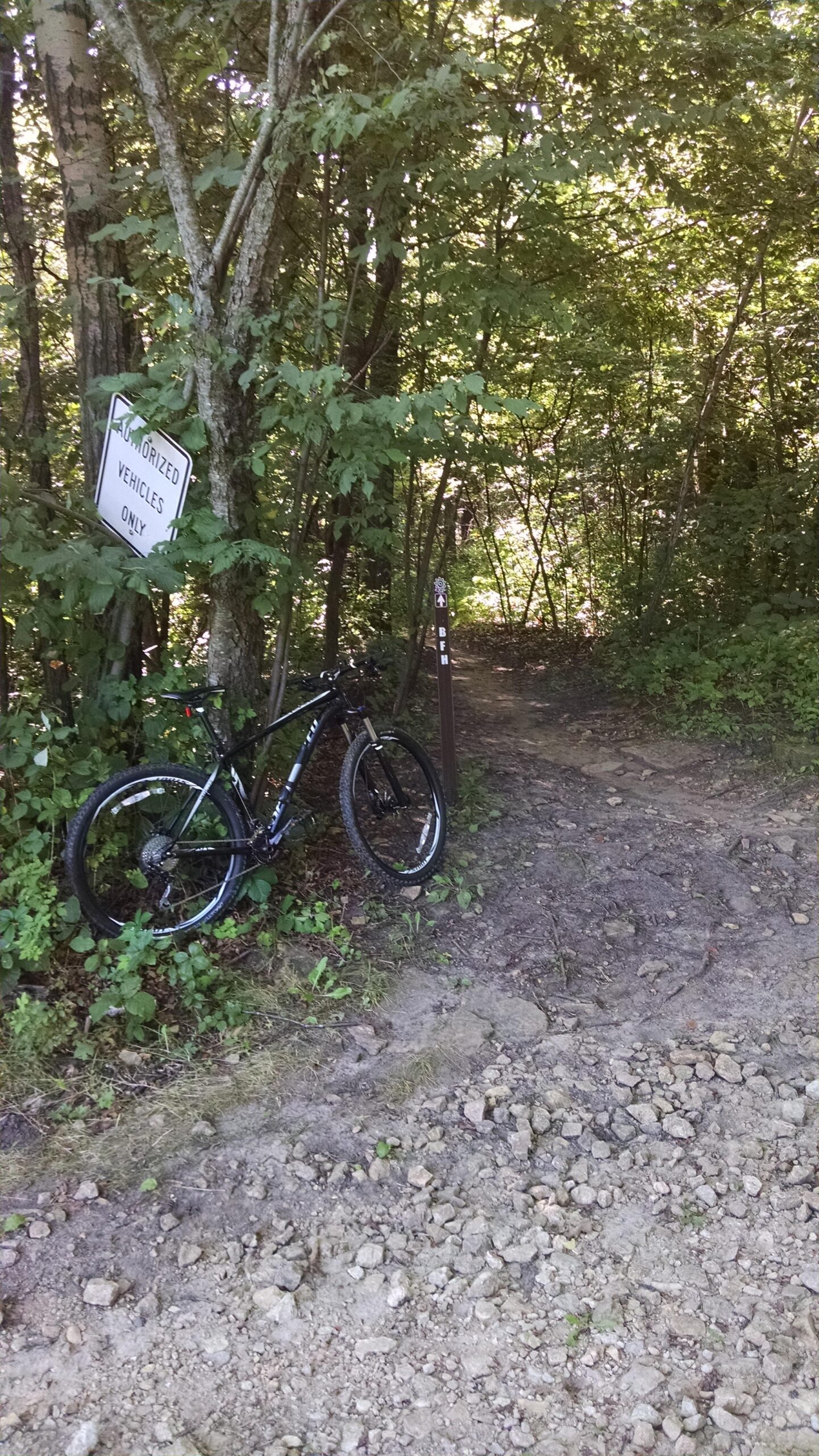 Specialized CRAVE 29: A black mountain bike is leaned against a tree next to a trail entrance. A sign nearby reads "Authorized Vehicles Only." The scene is surrounded by lush green foliage, and the path leading into the woods is visible, indicating a natural outdoor setting.