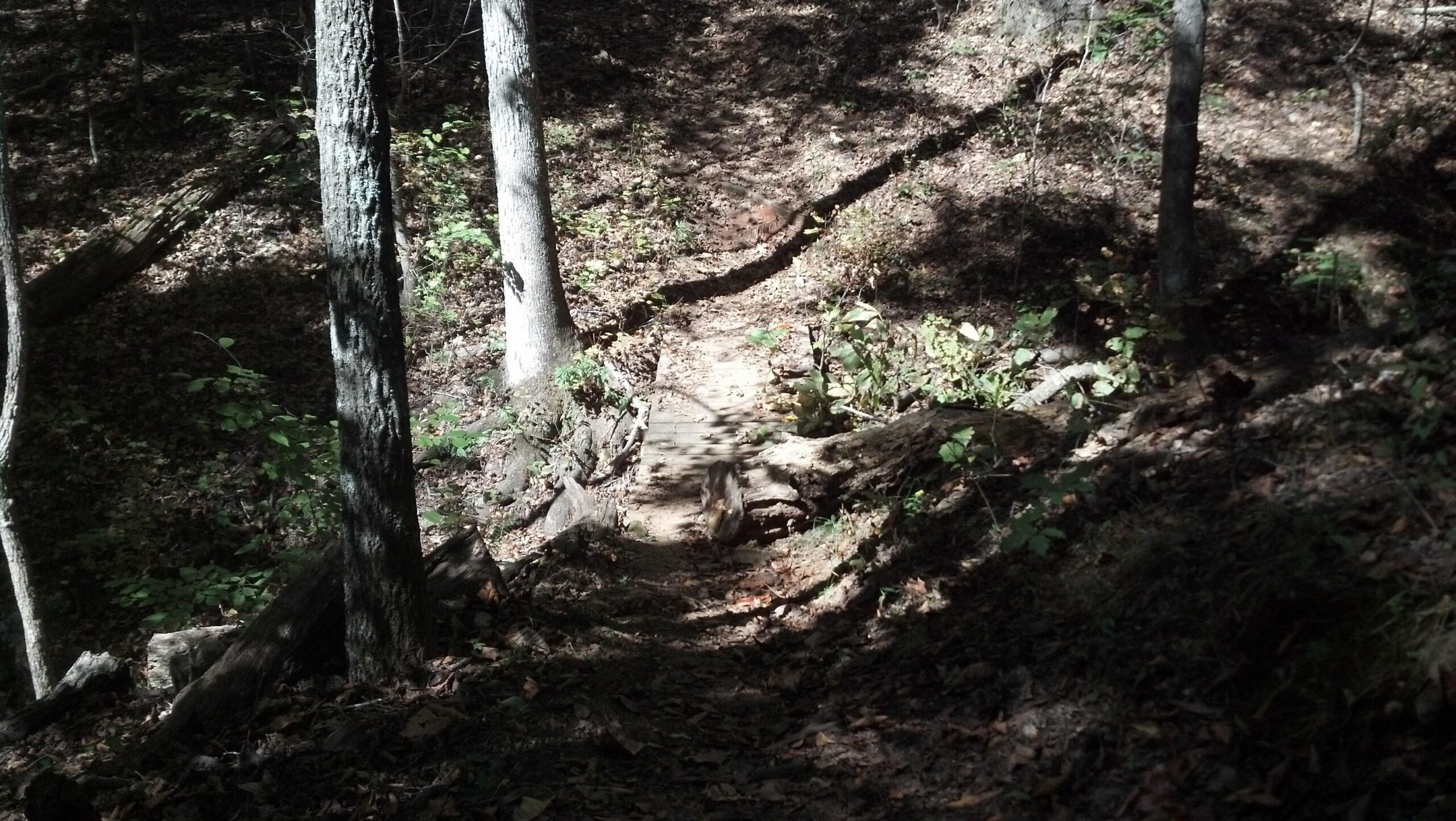 A forest trail winding down a slope, scattered with leaves and flanked by trees. Sunlight filters through the canopy, illuminating patches of greenery along the path while creating shadows on the ground. A small wooden bridge crosses a dip in the trail. Heritage Park mountain bike trail.