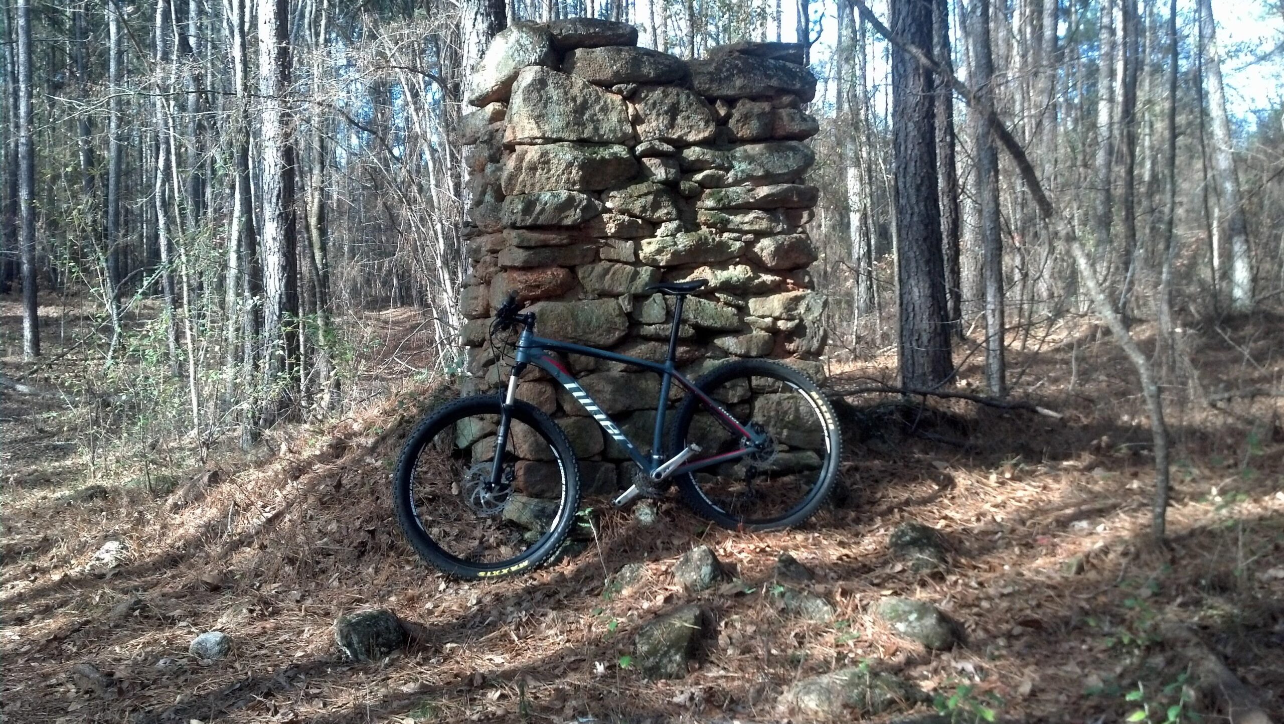 A mountain bike leaning against a weathered stone structure in a wooded area, surrounded by trees and fallen pine needles. Heritage Park mountain bike trail.