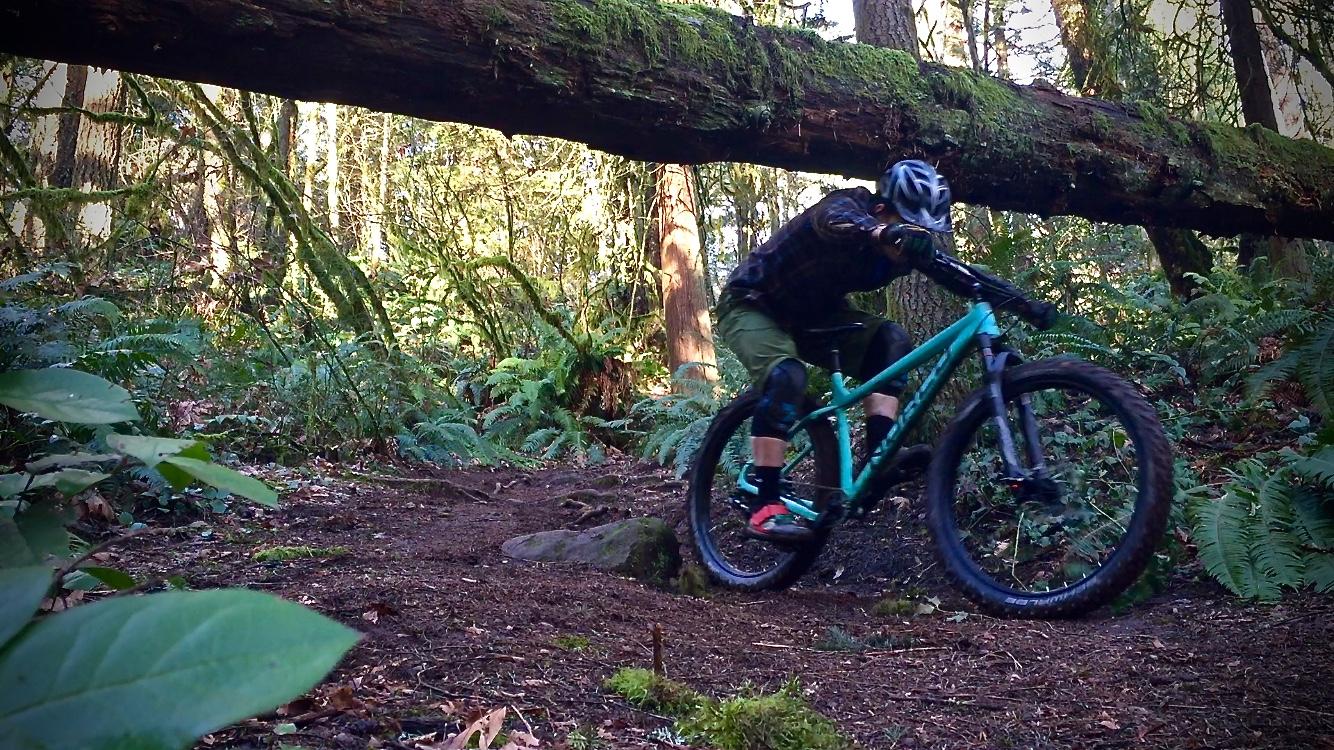 A mountain biker maneuvering through a forest trail, navigating around a fallen log with lush green foliage and trees in the background. The cyclist is wearing a helmet and protective gear, showcasing the outdoor adventure in a natural setting. Round Lake mountain bike trail.