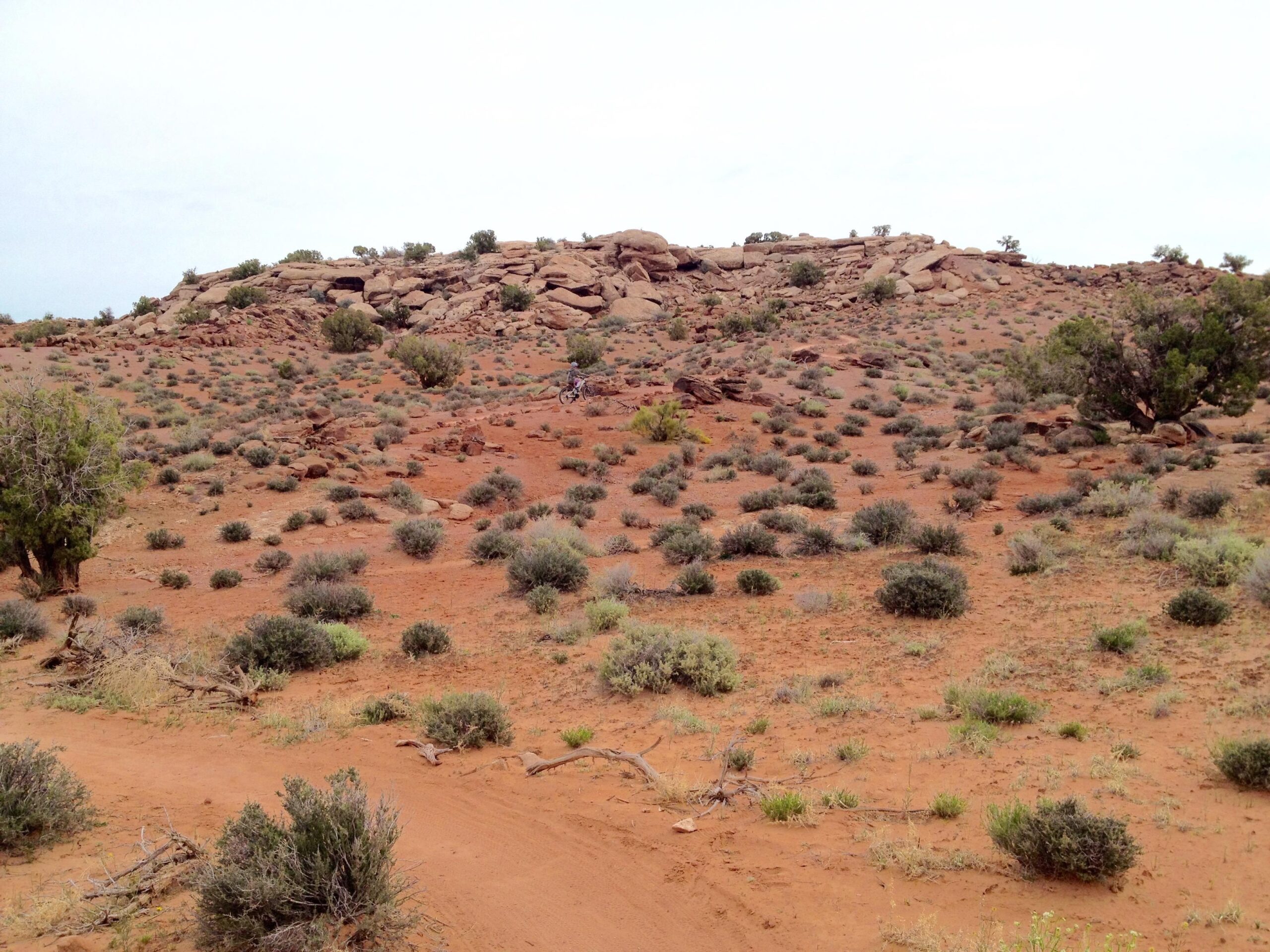 A dry, rocky landscape featuring scattered desert vegetation and small shrubs, with a rocky hill in the background. The sky is overcast, adding a muted tone to the scene. Moab Brand Trails mountain bike trail.