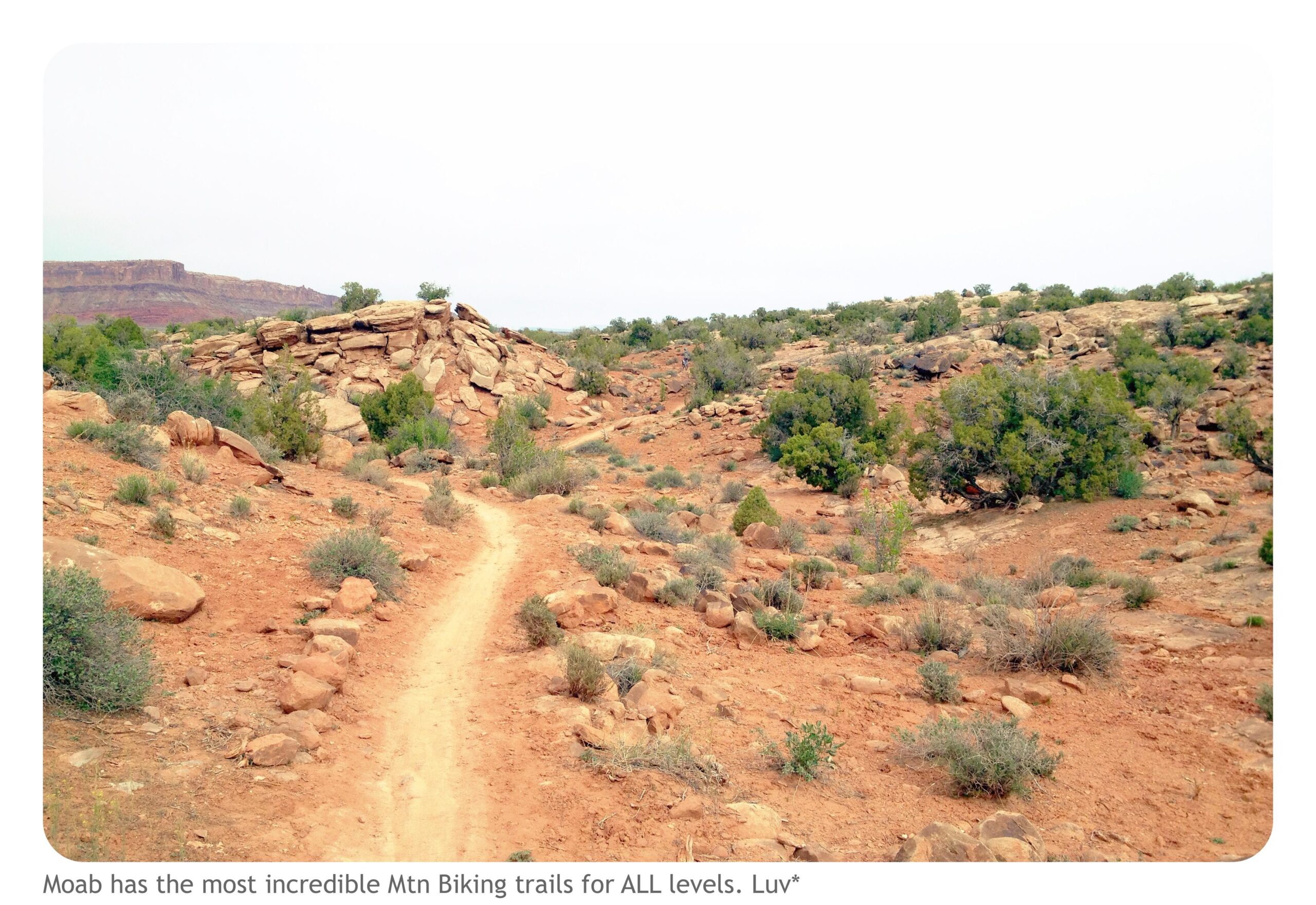 A dirt mountain biking trail winding through rocky terrain with sparse vegetation in Moab, Utah. The landscape features large boulders and distant hills under an overcast sky. The image highlights the natural beauty and diverse biking opportunities in the area. Moab Brand Trails mountain bike trail.