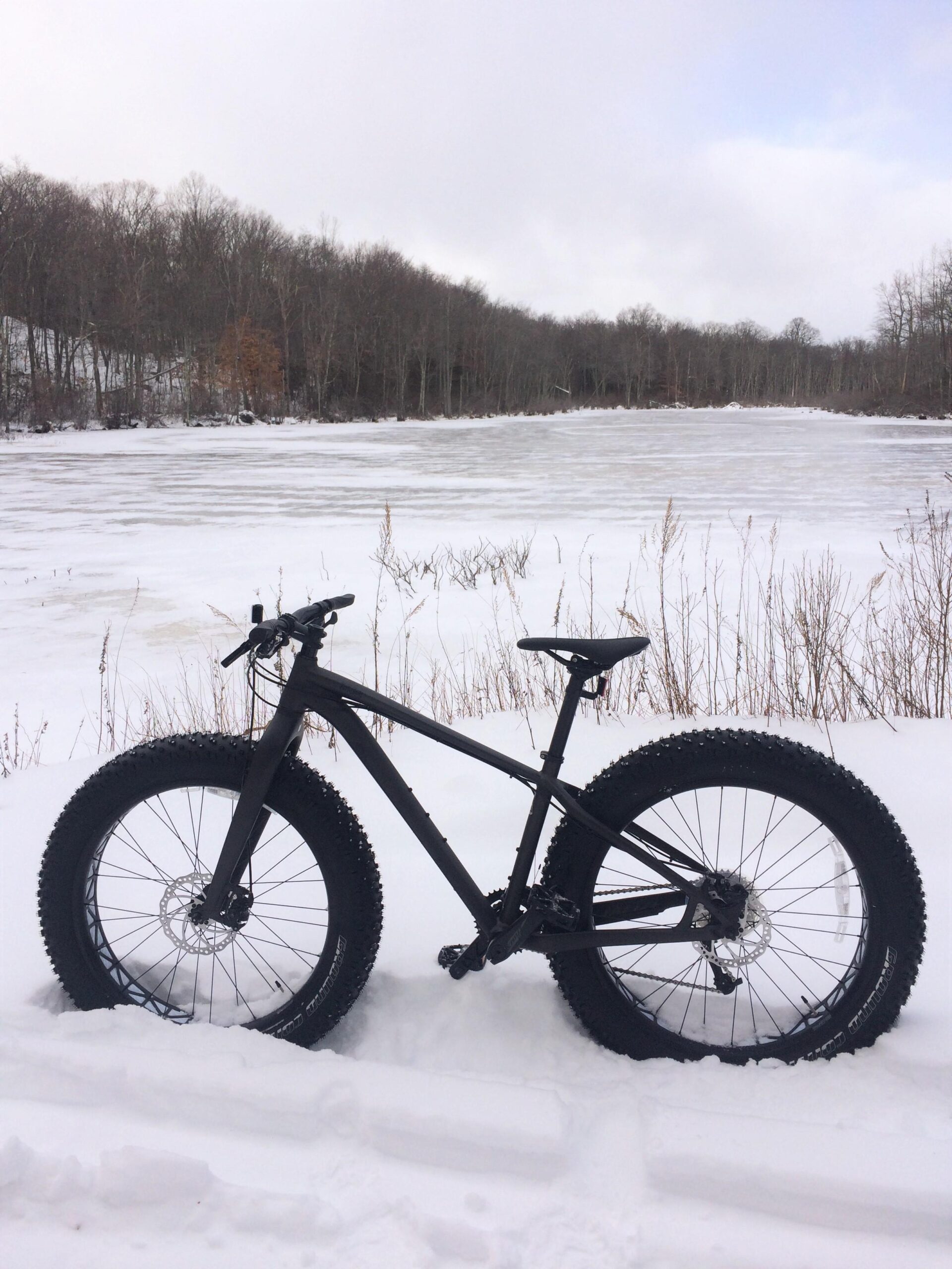 Specialized Fatboy: A black fat tire bike parked in the snow, with a frozen lake and bare trees in the background. The scene is wintery, showcasing a quiet outdoor setting.