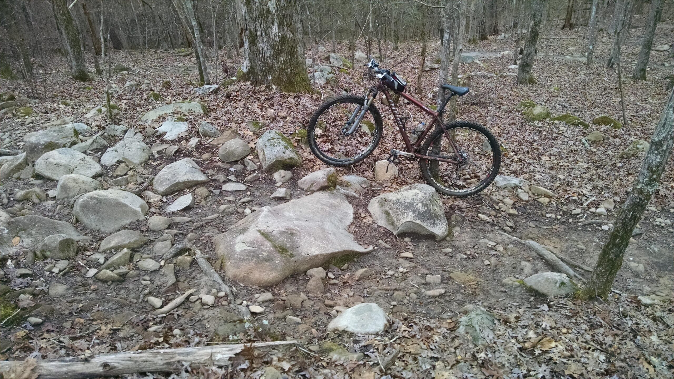 A mountain bike leaning against a large rock on a dirt trail surrounded by trees and scattered rocks, with dried leaves covering the ground. Harbison State Forest mountain bike trail.