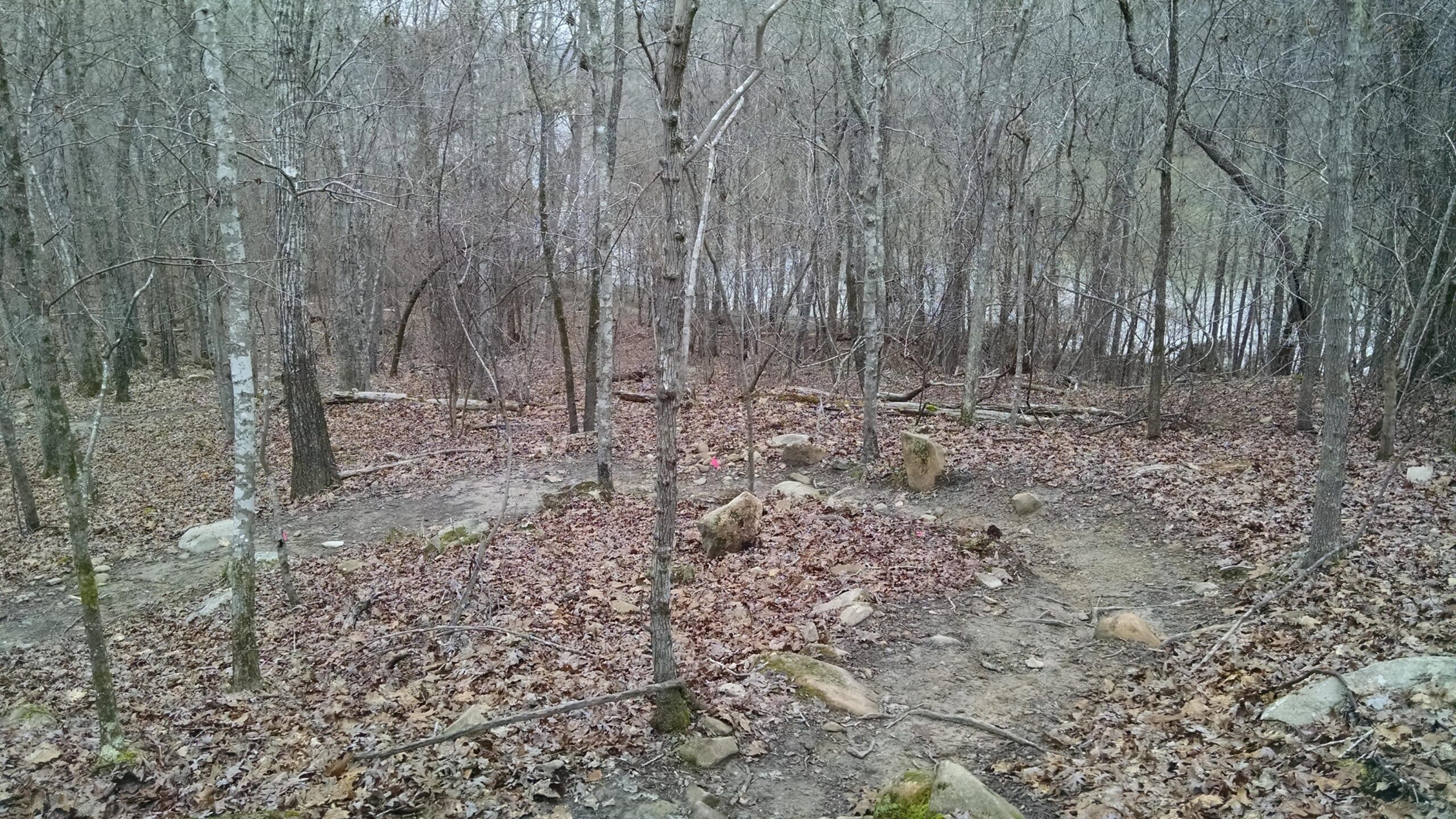 A wooded area with bare trees and scattered rocks, showing a dirt path leading downhill. The ground is covered in dried leaves, and a faint body of water can be seen in the background. Some colorful markers are visible along the path. Harbison State Forest mountain bike trail.