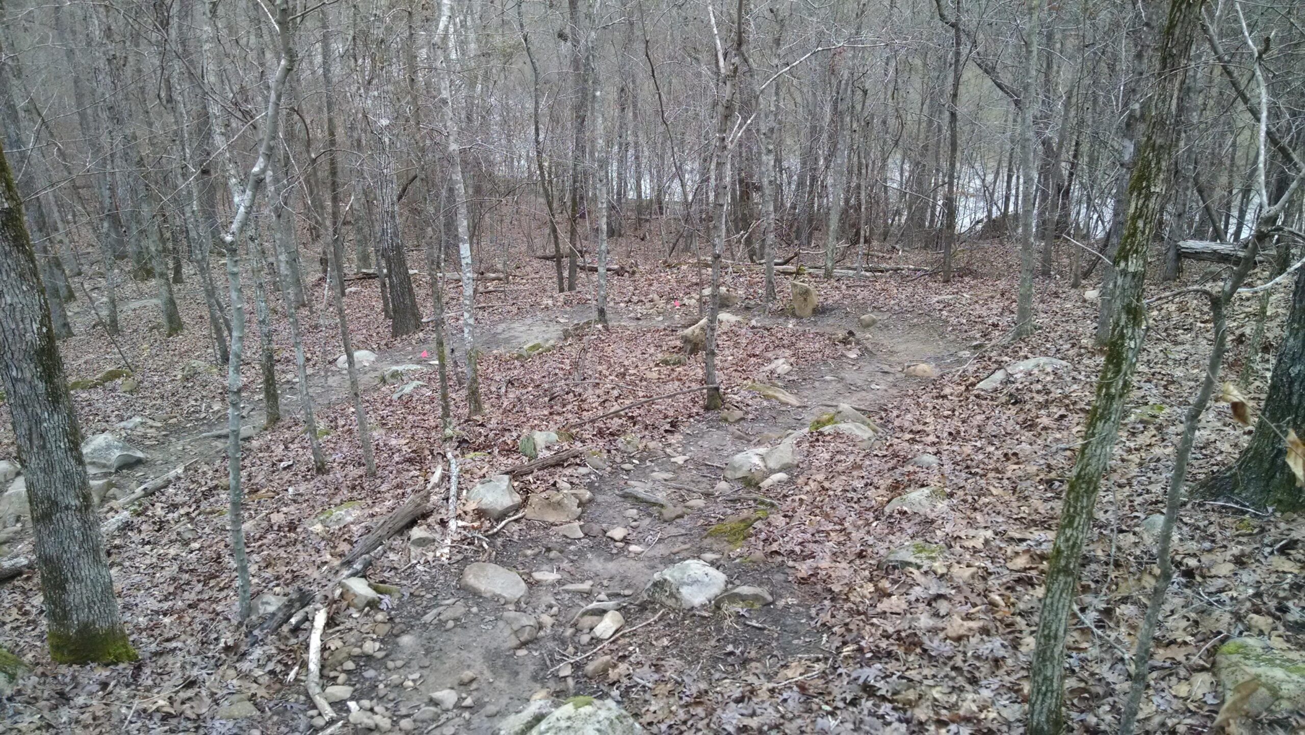 A winding trail through a wooded area, covered in fallen leaves and scattered rocks, with sparse tree branches visible above. The scene is mostly bare of foliage, indicating an early spring or late autumn atmosphere, with a hint of water visible in the background. Harbison State Forest mountain bike trail.