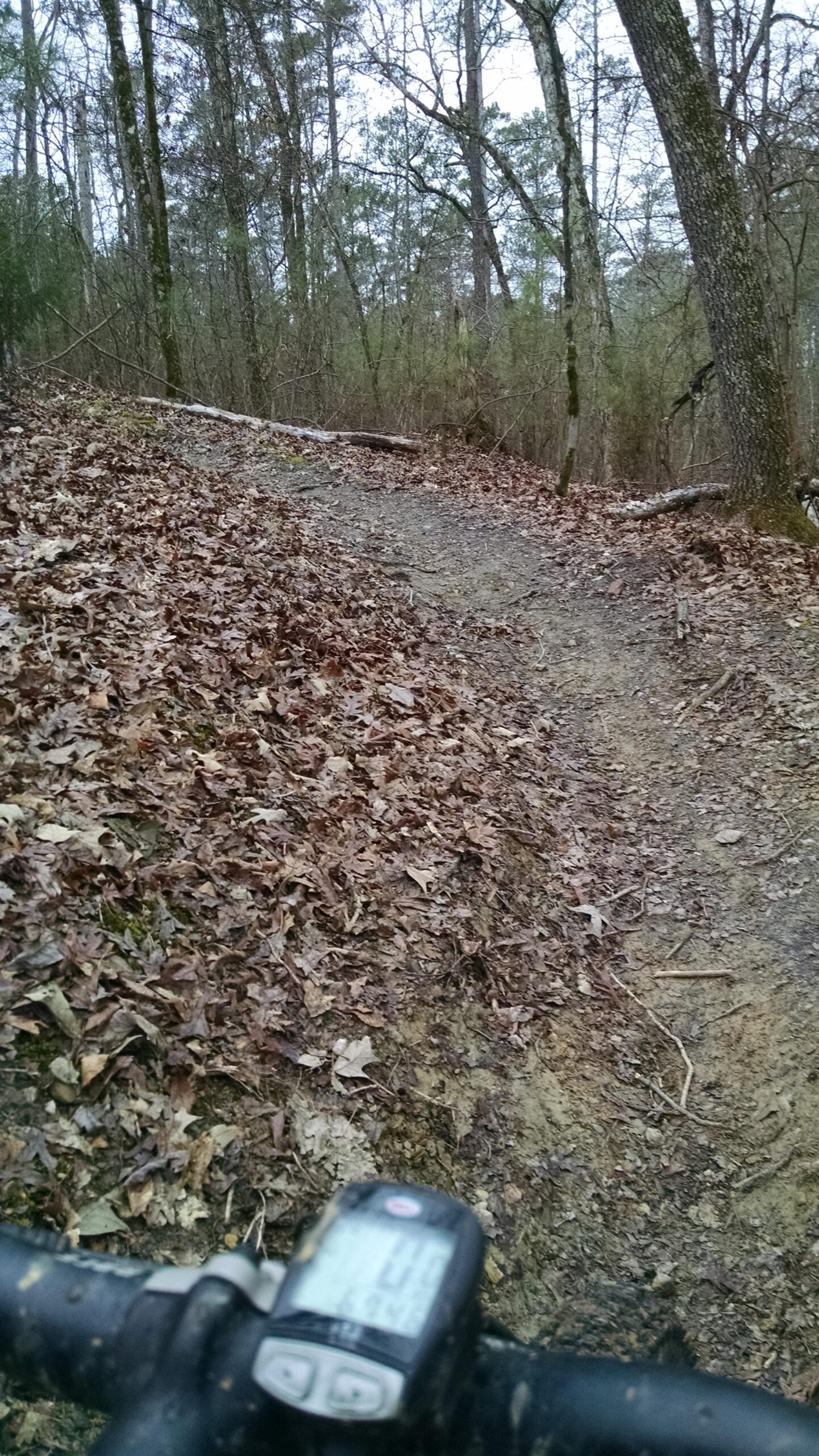 A muddy bike trail winding through a wooded area, covered with fallen leaves. In the foreground, part of a bicycle handlebar and a digital display showing speed and distance can be seen. The scene is set under a cloudy sky, indicating overcast weather. Harbison State Forest mountain bike trail.