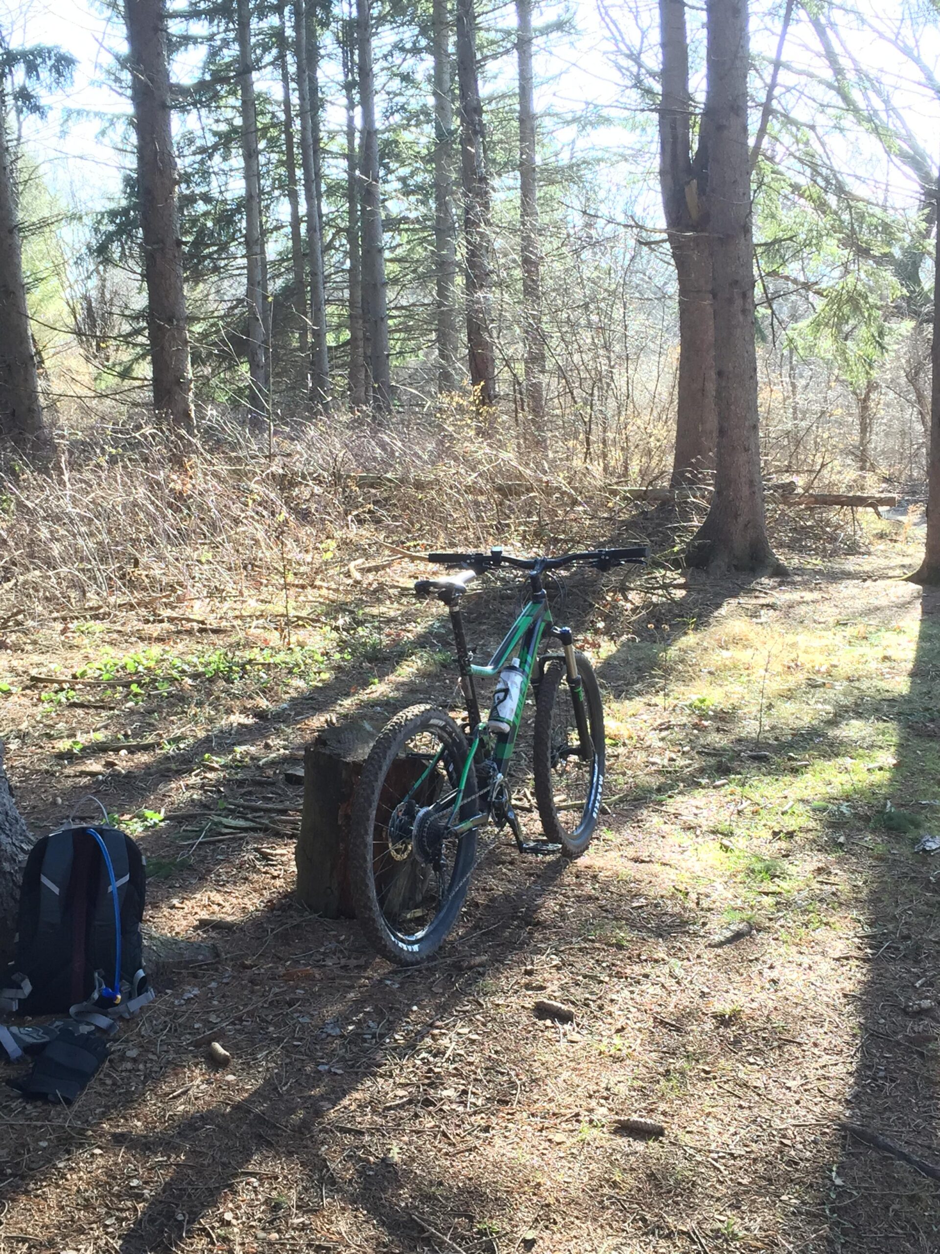 Giant Stance 27.5 2: A mountain bike leaning against a tree stump in a wooded area, surrounded by tall trees and brush, with sunlight filtering through the branches. A black backpack is positioned on the ground nearby.