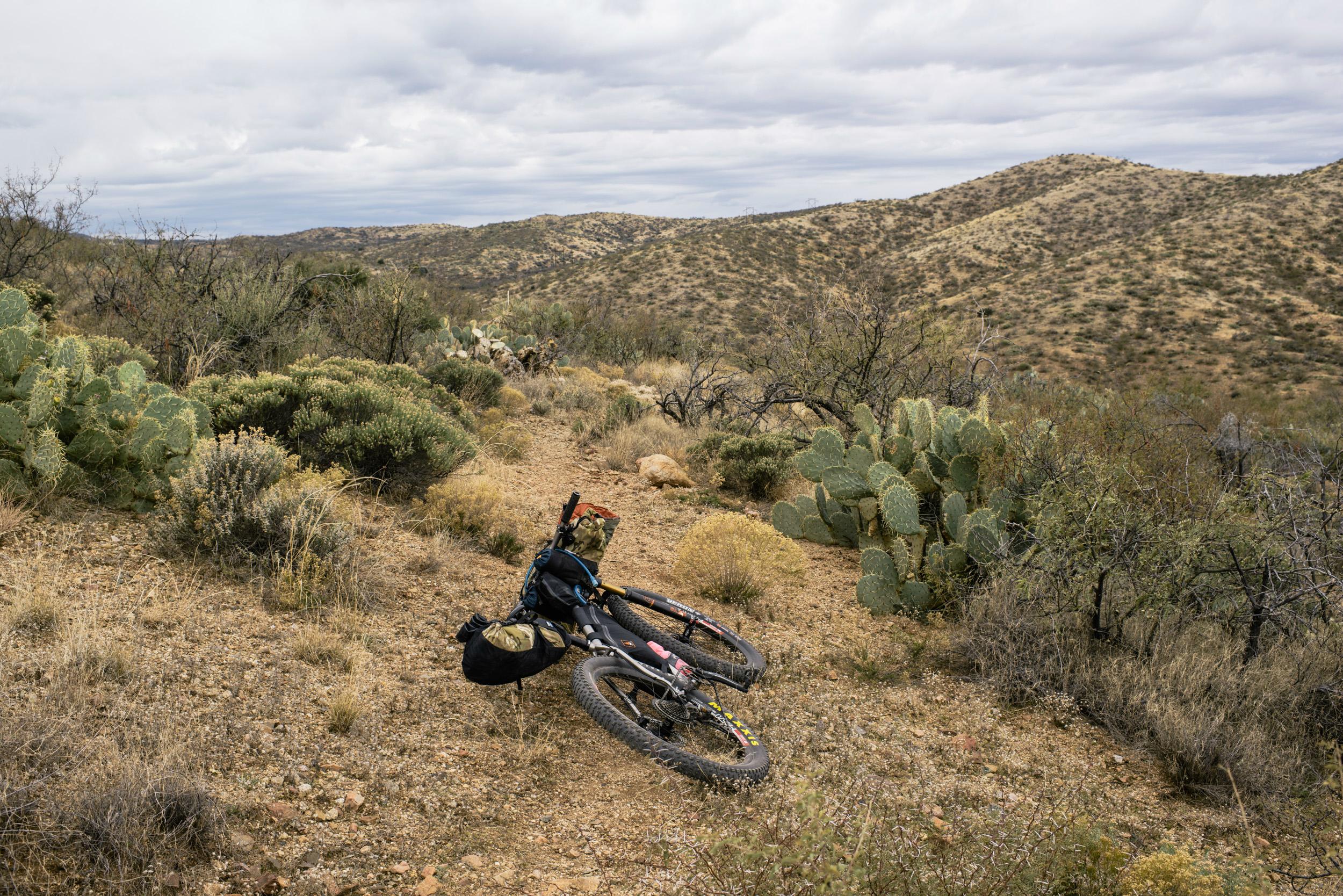 A mountain bike resting on the ground beside a trail in a desert landscape, surrounded by various desert vegetation including cacti and shrubs, with hills in the background under a cloudy sky. Arizona Trail mountain bike trail.