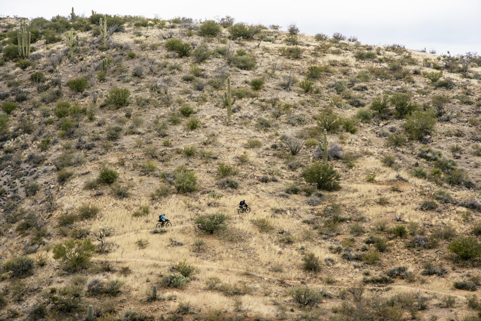 Two mountain bikers ride on a dirt trail winding through a hilly desert landscape, dotted with shrubs and tall cacti. The terrain is arid with patches of dry grass and rocks, under a cloudy sky. Arizona Trail mountain bike trail.