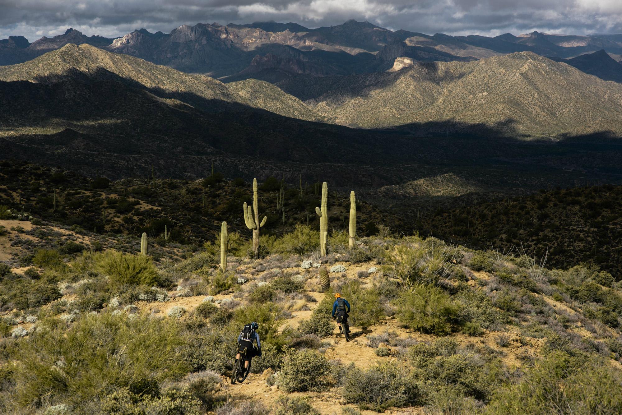 Two mountain bikers navigate a rugged trail through a desert landscape, surrounded by cacti and vegetation. The backdrop features rolling mountains under a cloudy sky, capturing the beauty of an outdoor adventure in nature. Arizona Trail mountain bike trail.