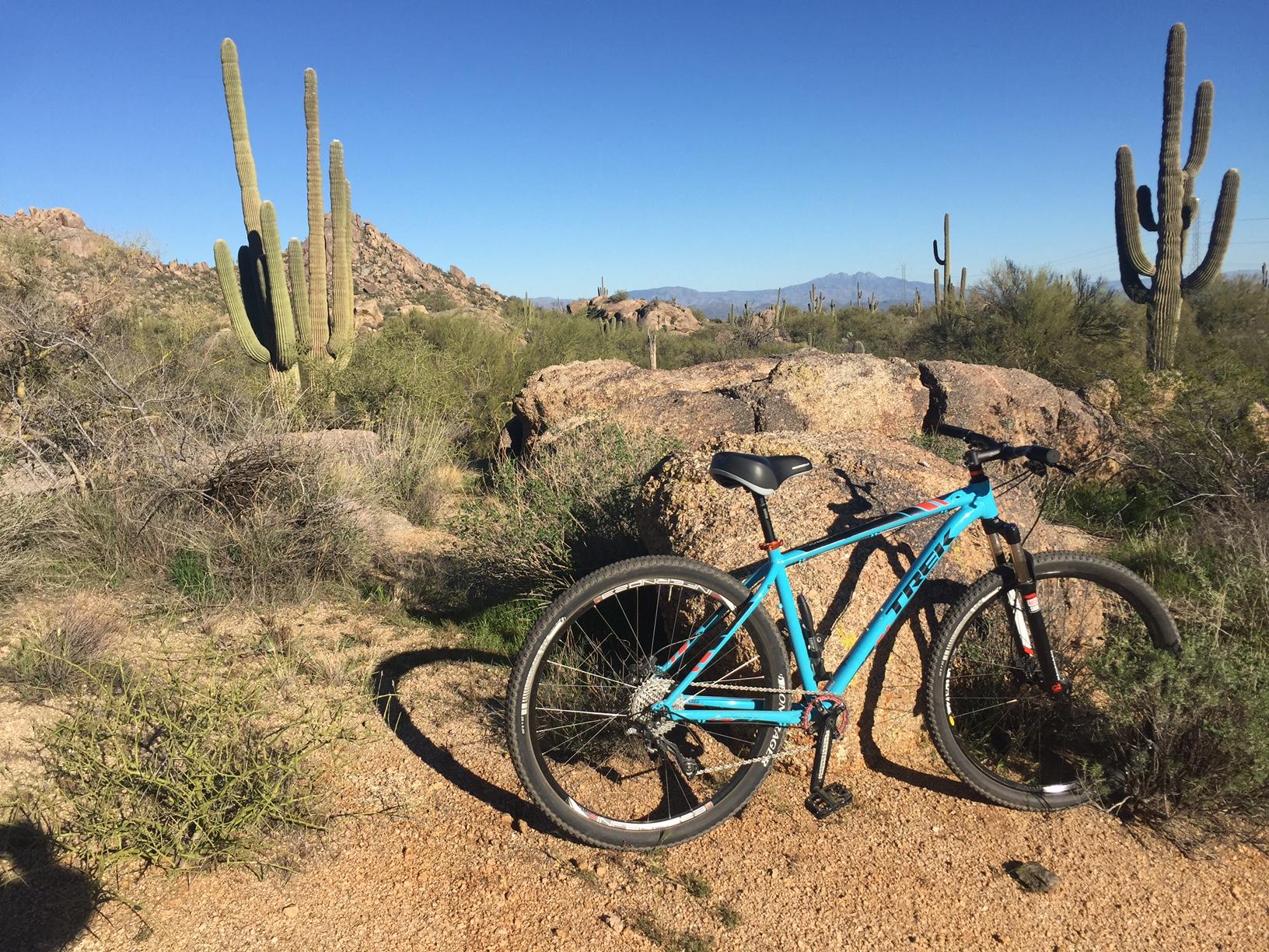Trek X-Caliber 9: A blue mountain bike resting against a large rock in a desert landscape, surrounded by cacti and shrubs under a clear blue sky. Mountains are visible in the background.