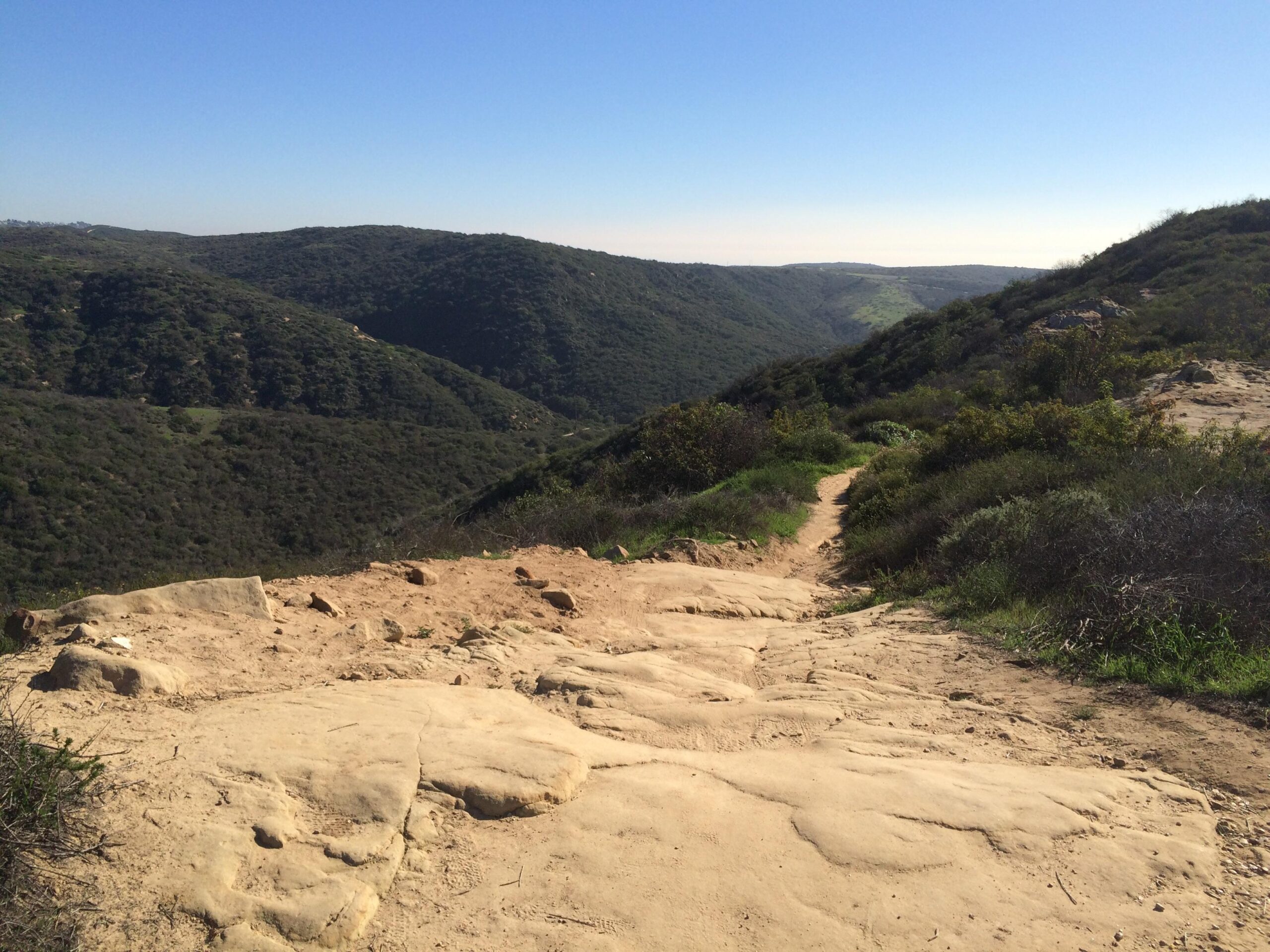 A scenic view of a hiking trail winding through rolling hills, surrounded by greenery. The path is rocky and uneven, leading down a gentle slope toward a valley flanked by lush hills under a clear blue sky. El Moro / Erection Loop mountain bike trail.