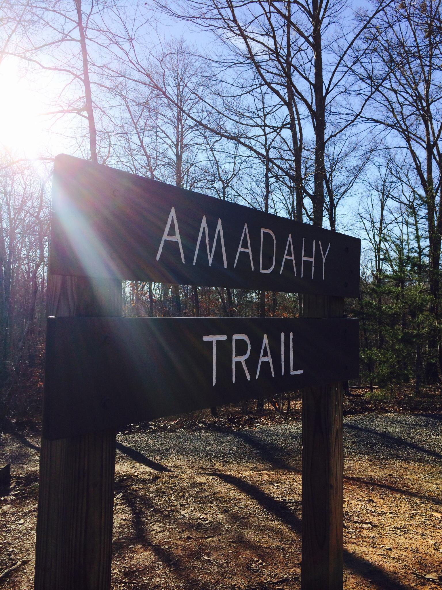 Sign for the Amadahy Trail, positioned in a wooded area with bare trees and sunlight shining through. The sign is made of dark wood with white lettering indicating the trail name. The background features a clear blue sky and a gravel path. Woodring Branch mountain bike trail.