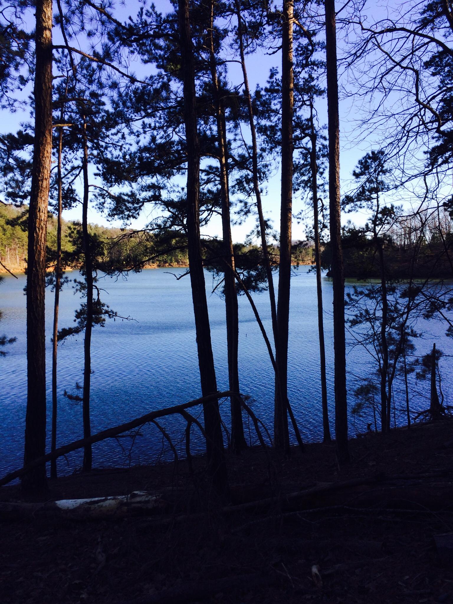 A serene view of a lake surrounded by tall trees, with clear blue water reflecting the sky. Sunlight filters through the branches, creating a tranquil atmosphere. Woodring Branch mountain bike trail.