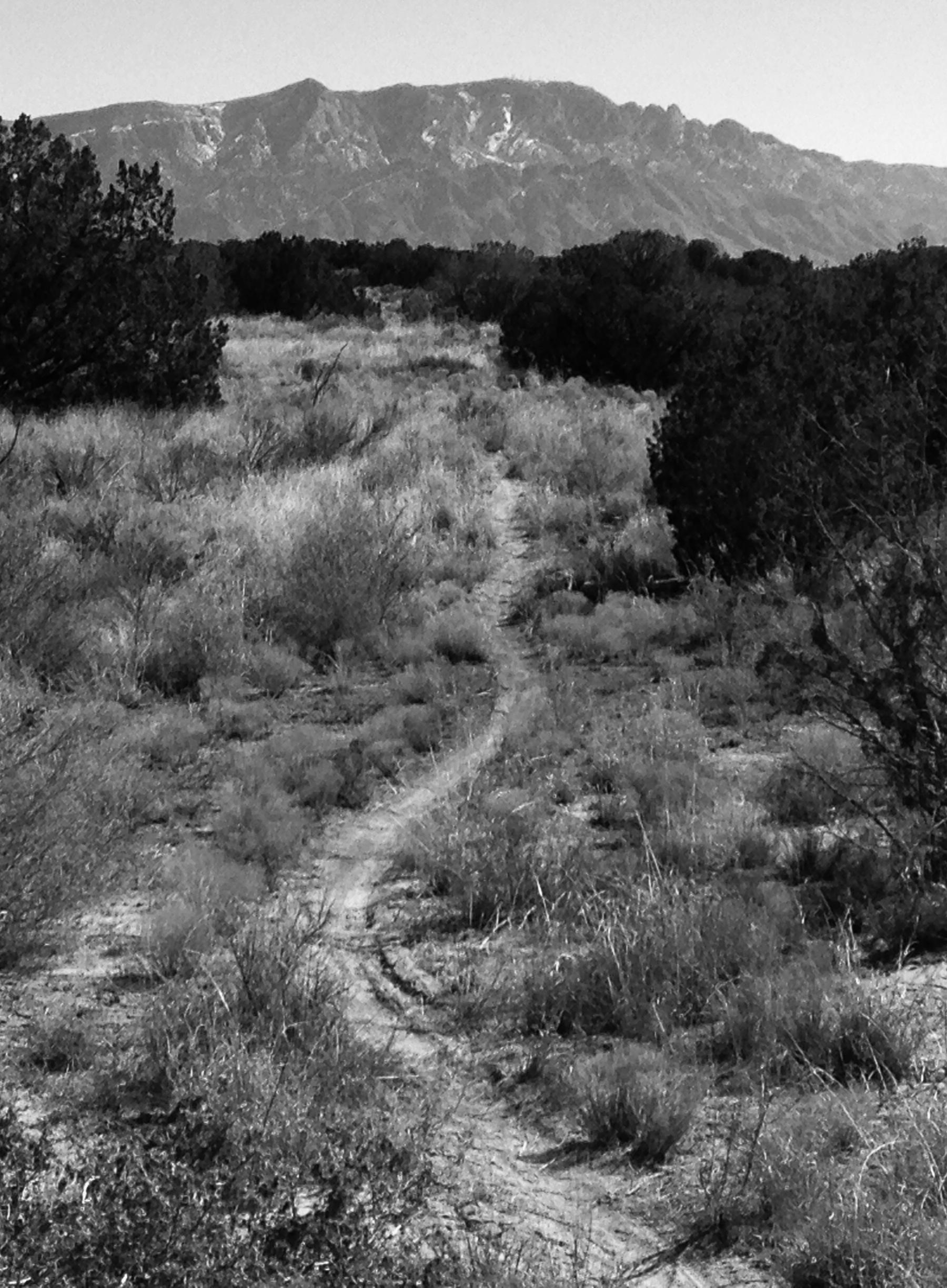 A winding dirt path leads through a grassy landscape, framed by low shrubs, with a mountain range visible in the background. The image is presented in black and white, highlighting the natural textures and contours of the terrain. Parkway Fatbike trail mountain bike trail.