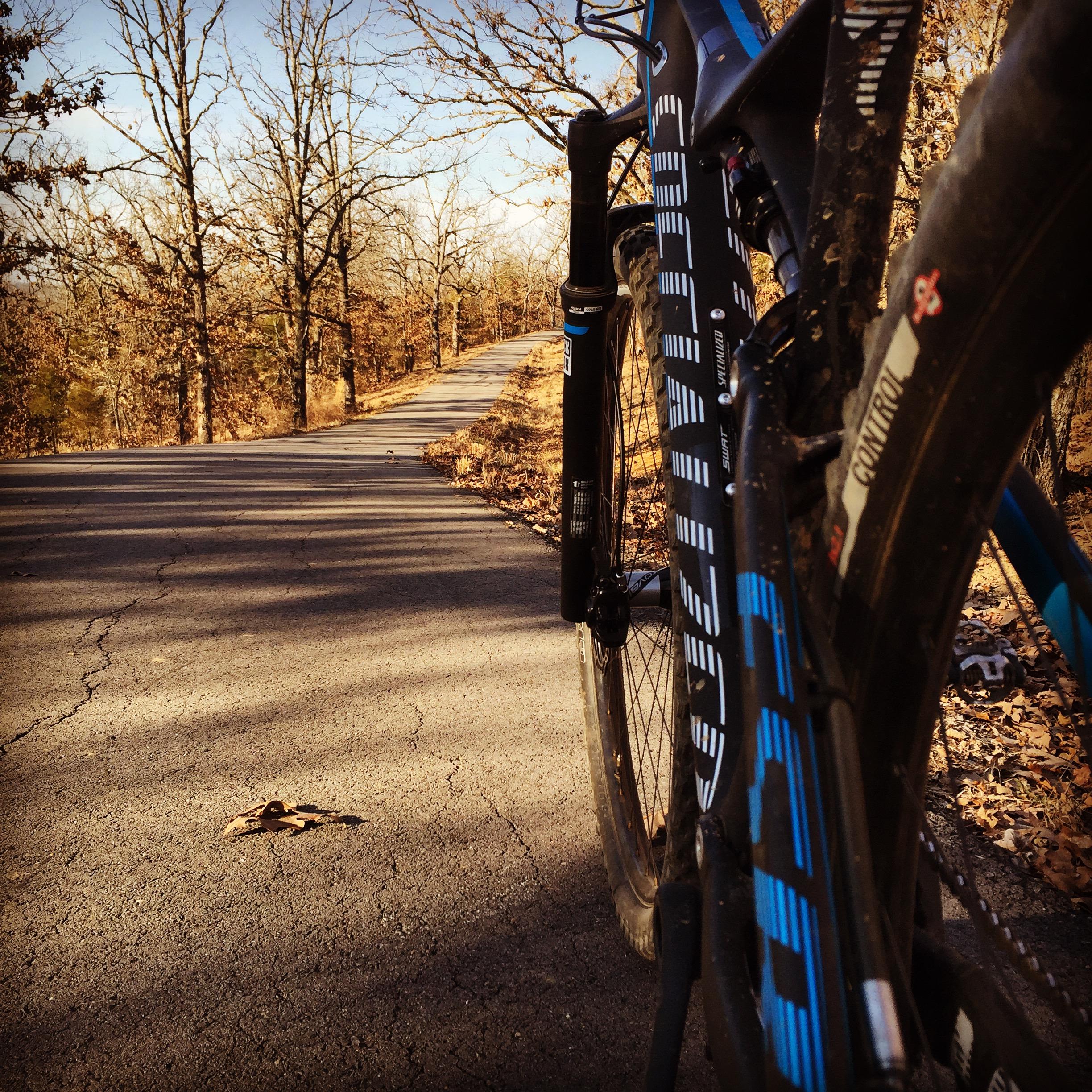 A close-up view of a mountain bike parked on a cracked asphalt path, surrounded by trees with bare branches, indicating autumn. The bike is positioned to the right, with a winding road stretching into the distance under a clear blue sky. A lone dry leaf rests on the pavement. Ben Geren Park Trail mountain bike trail.