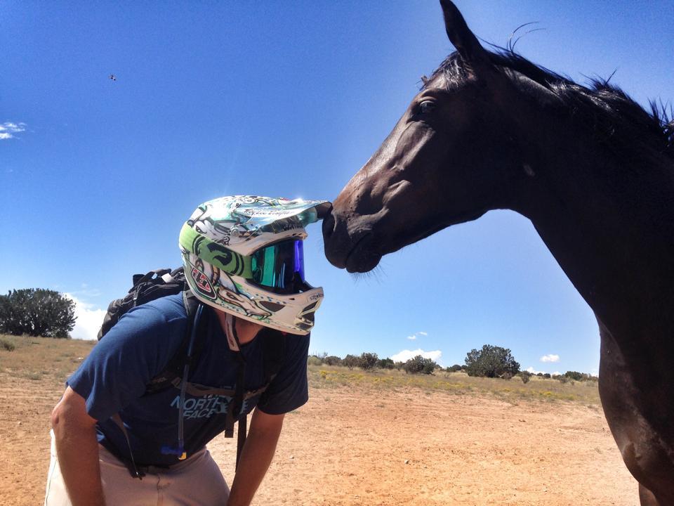 A person wearing a helmet interacts with a horse, gently touching foreheads in a sunny outdoor setting. The background features a clear blue sky and a sparse landscape.
