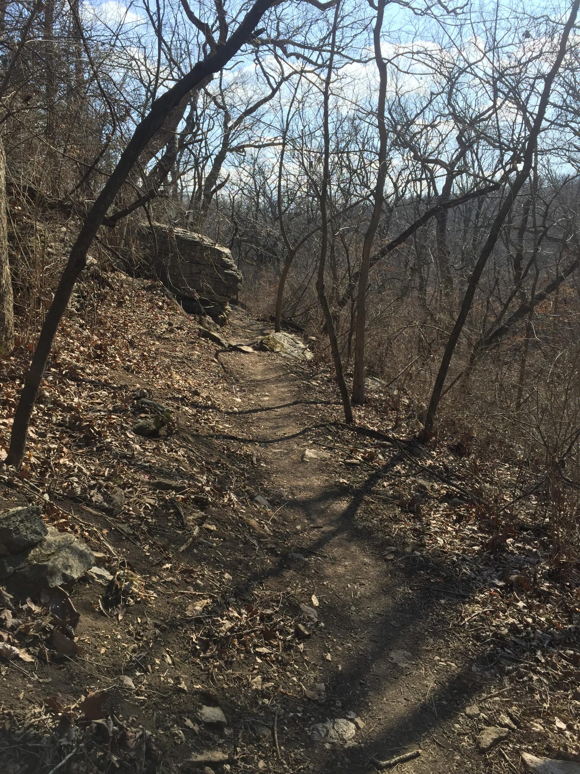 A winding dirt trail surrounded by bare trees and scattered leaves, leading through a wooded area with a large rock formation to the side. The sky is partly cloudy, suggesting a crisp day in a natural landscape. Swope Park Trail mountain bike trail.