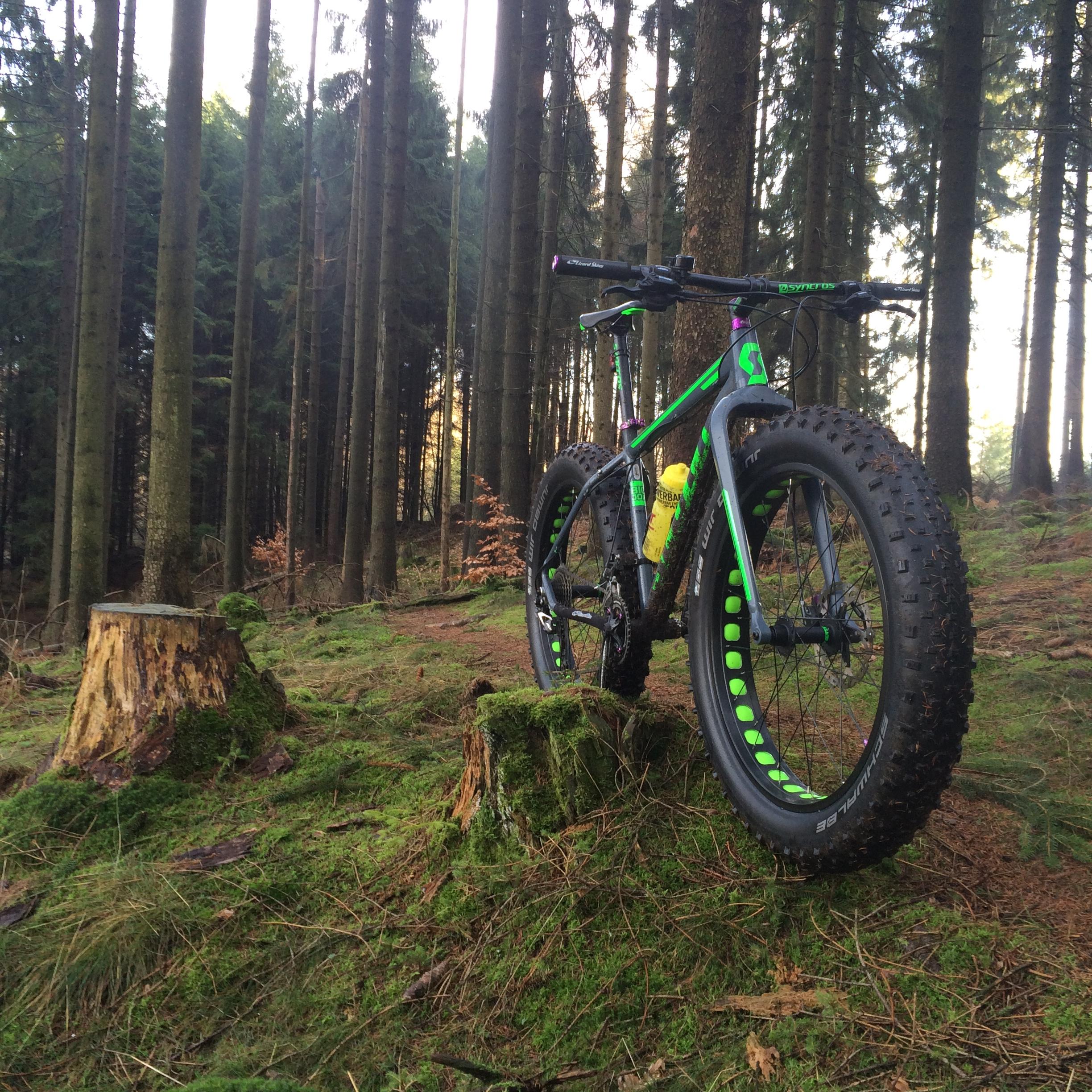 Scott Big Jon: A colorful fat bike resting on a mossy forest floor, surrounded by tall pine trees. The bike features wide tires and a vibrant green and purple frame, with a yellow water bottle attached. In the foreground, there are tree stumps partially covered in moss. The scene captures a tranquil, natural setting ideal for outdoor cycling.