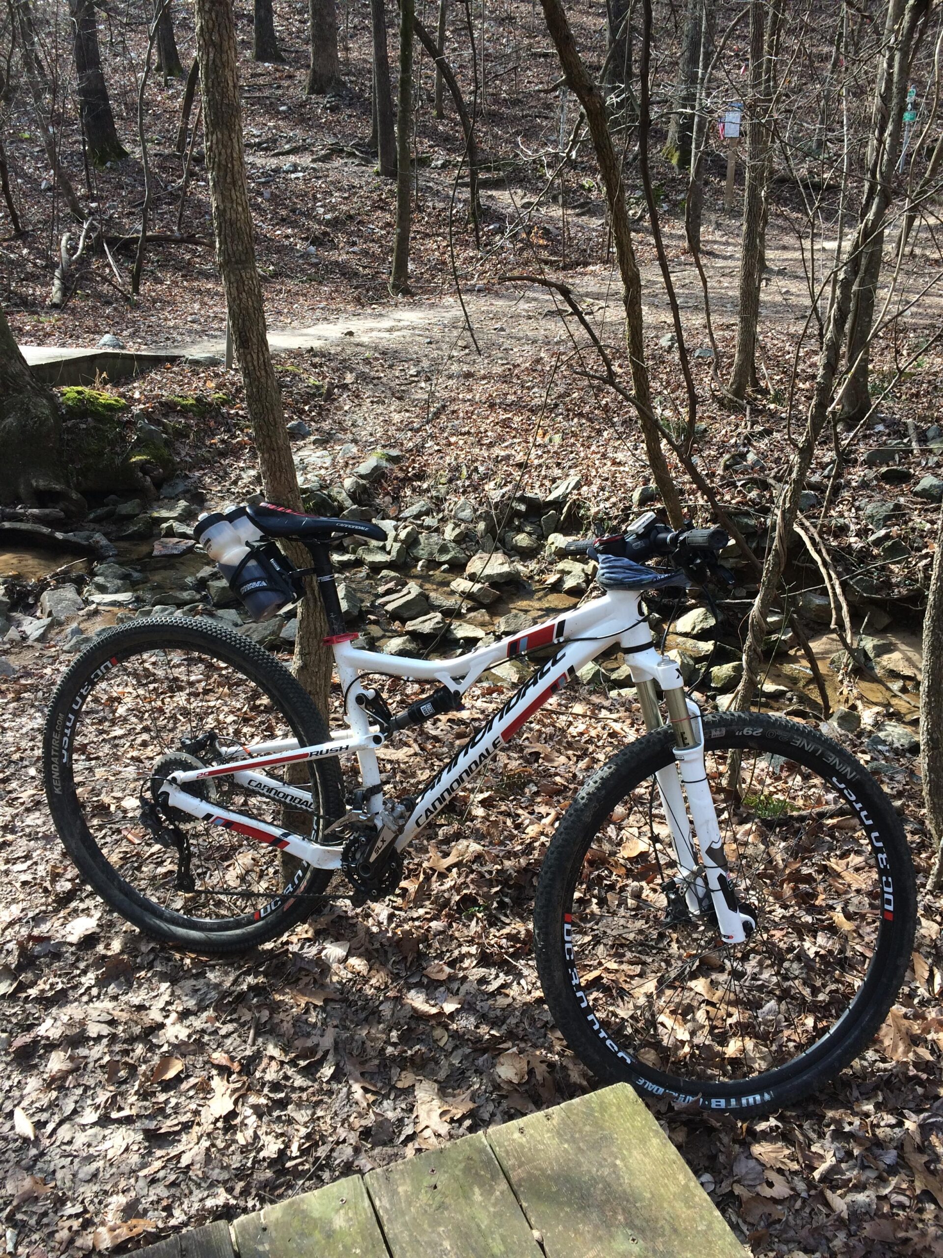 Cannondale Rush 29 1: Mountain bike resting on a leaf-covered ground near a stream in a wooded area, with a dirt path visible in the background.