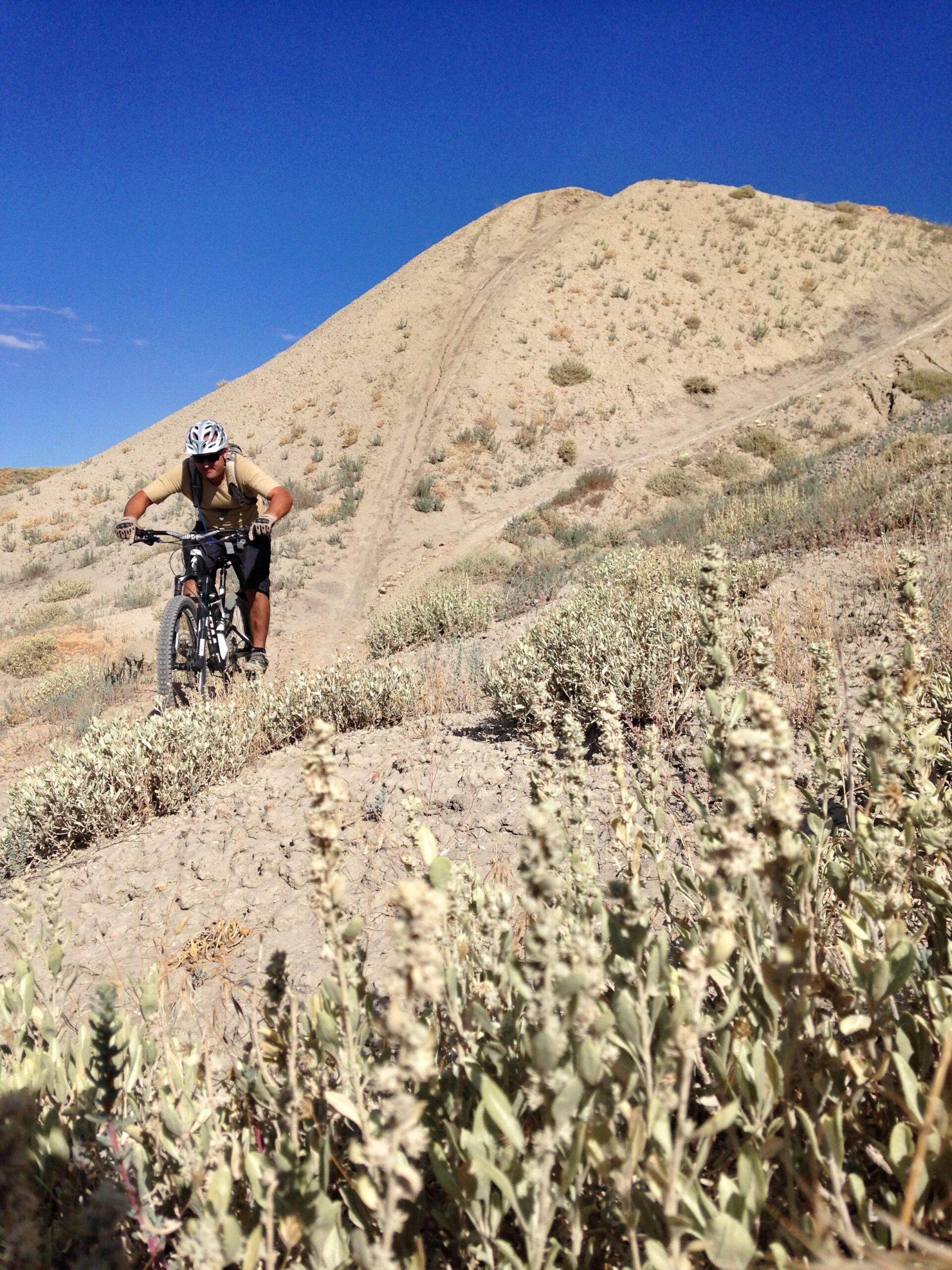 A mountain biker climbing a sandy hill in a desert landscape, surrounded by sparse vegetation and a clear blue sky. 18 Road Trails / North Fruita Desert mountain bike trail.