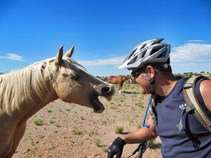 A close-up photo of a man wearing a bicycle helmet, smiling and interacting with a light-colored horse, which appears to be playfully expressing itself. In the background, several other horses graze under a clear blue sky. The scene captures a lighthearted moment in a natural outdoor setting.