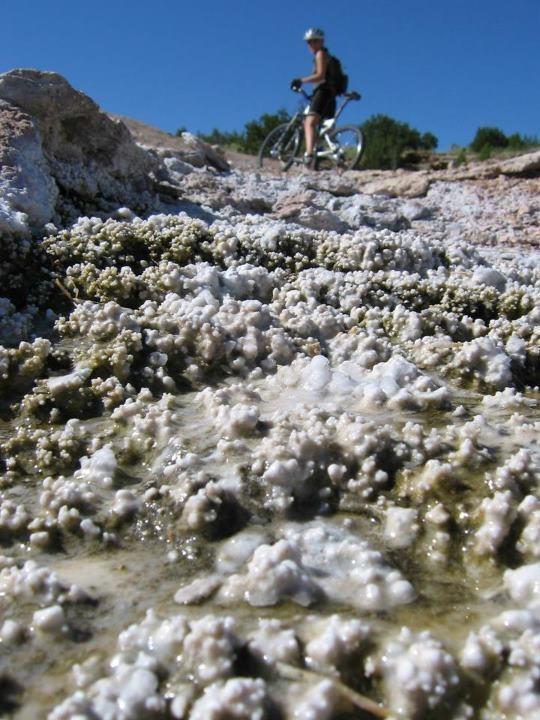 A close-up view of textured white and green mineral formations on rocky terrain, with a cyclist in the background riding a bike on a trail under a clear blue sky. White Ridge Bike Trails mountain bike trail.