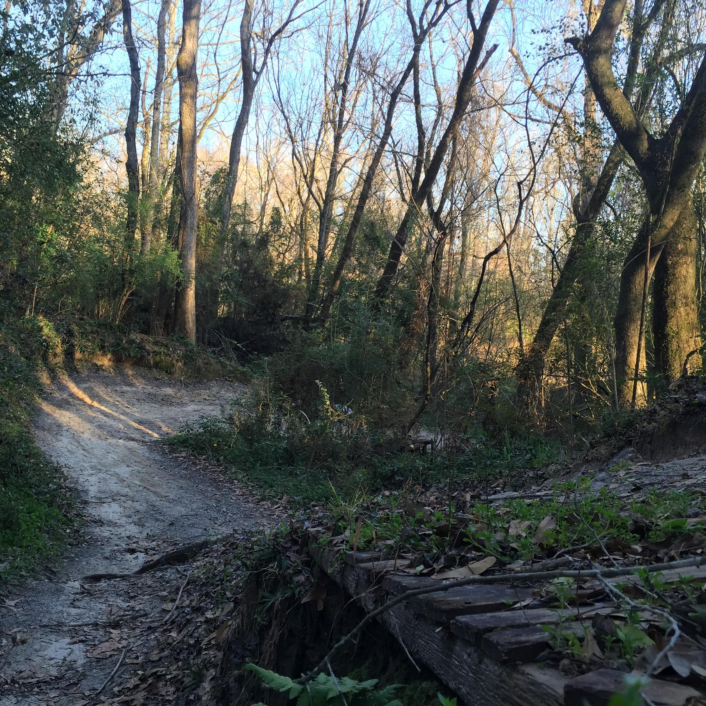 A dirt path winding through a wooded area with tall, bare trees and patches of sunlight filtering through the branches. The ground is uneven, with areas of loose soil and scattered leaves, creating a natural, tranquil setting. A wooden bridge crosses a small depression along the path. Comite Trails mountain bike trail.