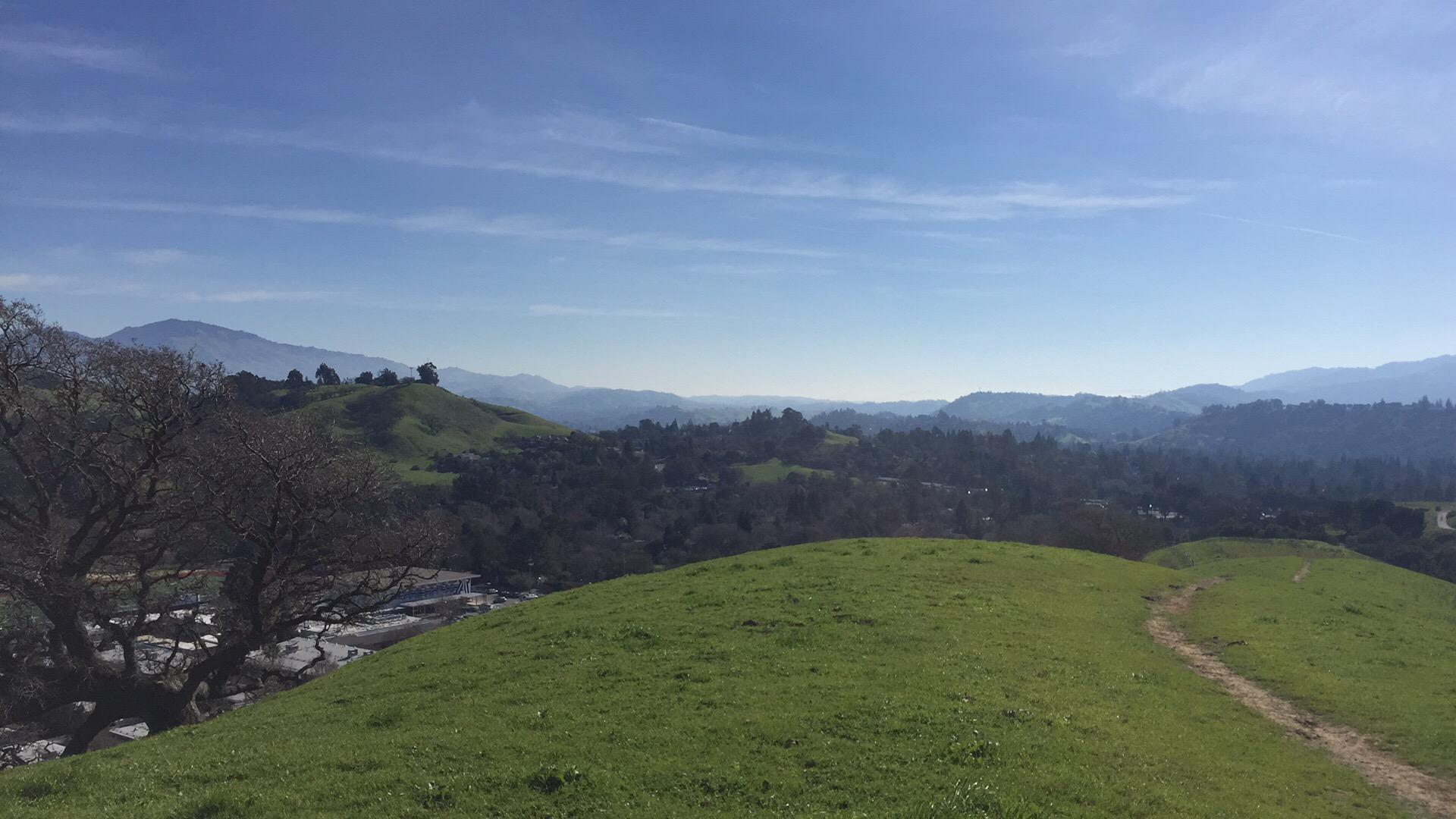 A panoramic view of rolling green hills under a clear blue sky, with distant mountains visible in the background. A dirt path winds through the grassy hillside, and a small, wooded area can be seen below, indicating a natural landscape ideal for hiking and outdoor activities. Briones Regional Park mountain bike trail.