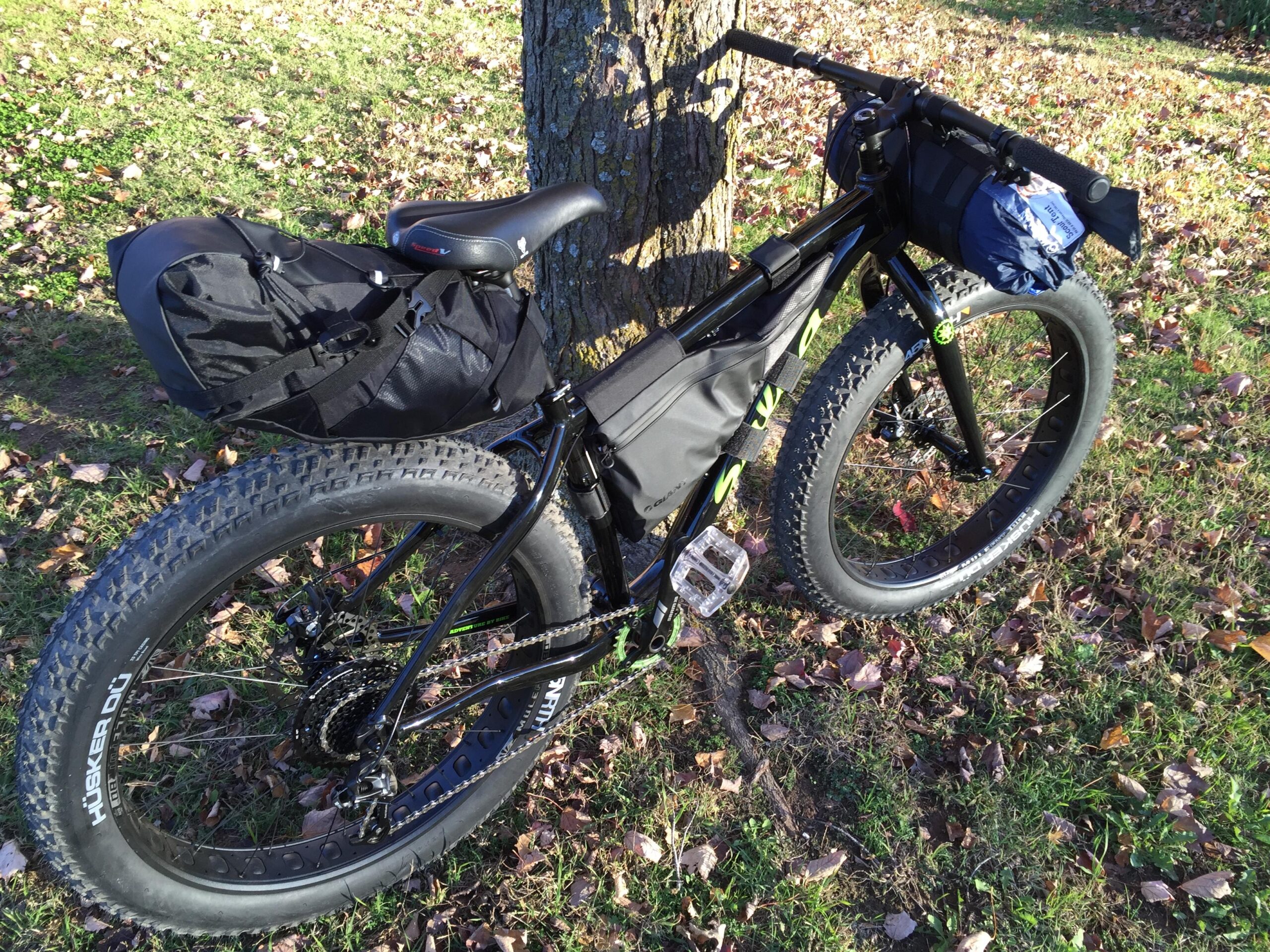 Salsa Beargrease: A black fat bike leaning against a tree, equipped with various black storage bags on the frame and handlebars. The bike is set in a grassy area scattered with fallen leaves.