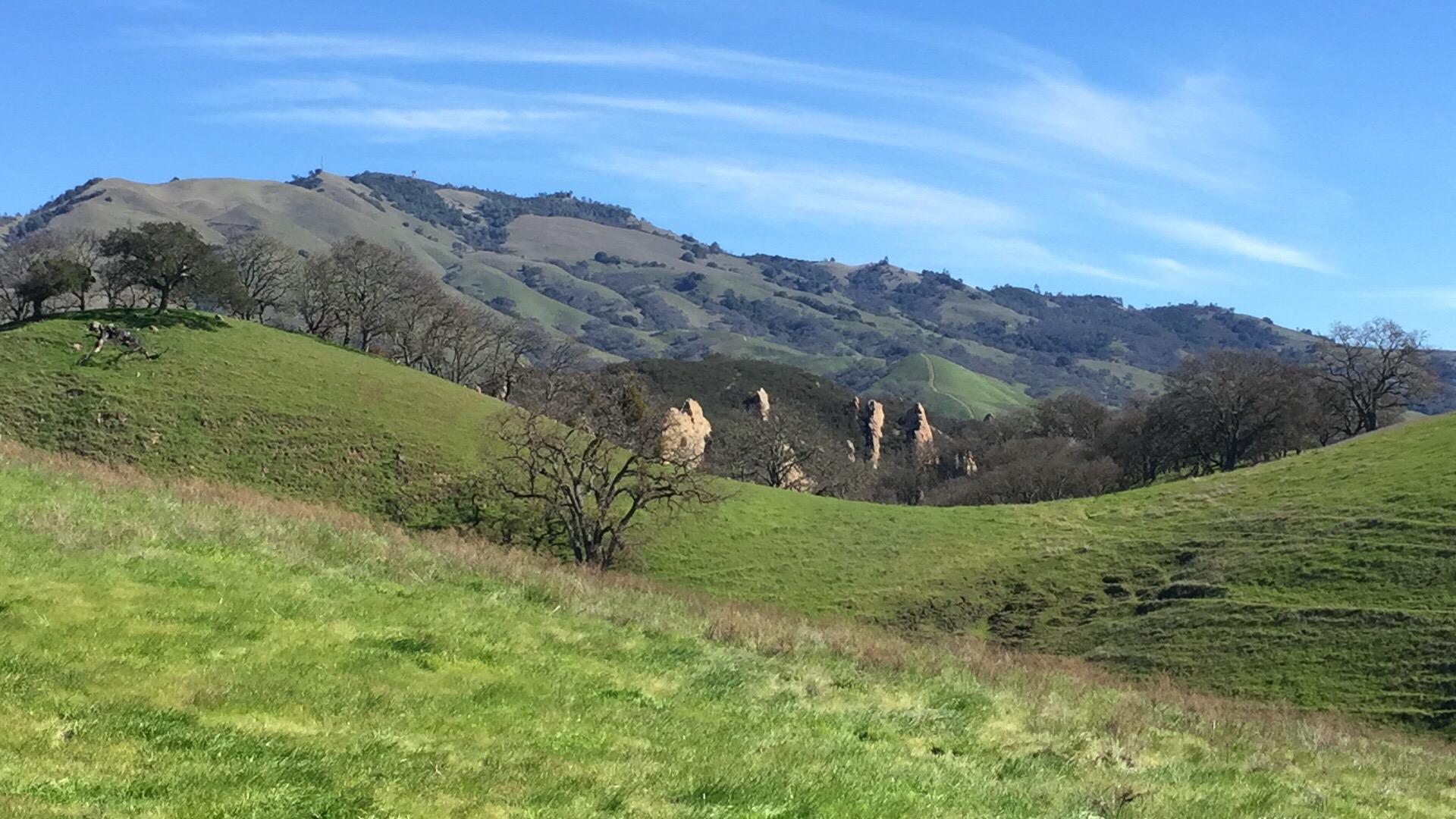 Scenic view of rolling green hills under a clear blue sky, featuring sparse trees and rocky formations in the background. Summit Trail mountain bike trail.