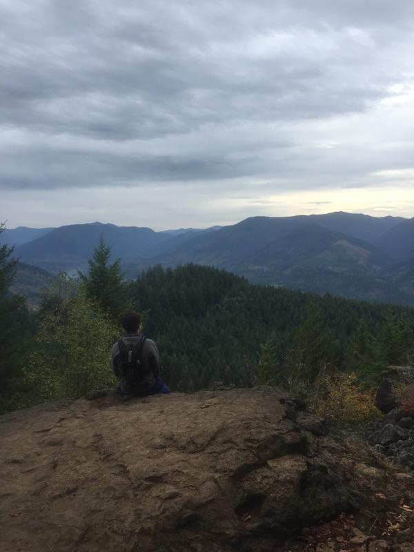 Santa Cruz Blur: A person sitting on a large rock, looking out over a lush, mountainous landscape filled with evergreen trees under a cloudy sky.