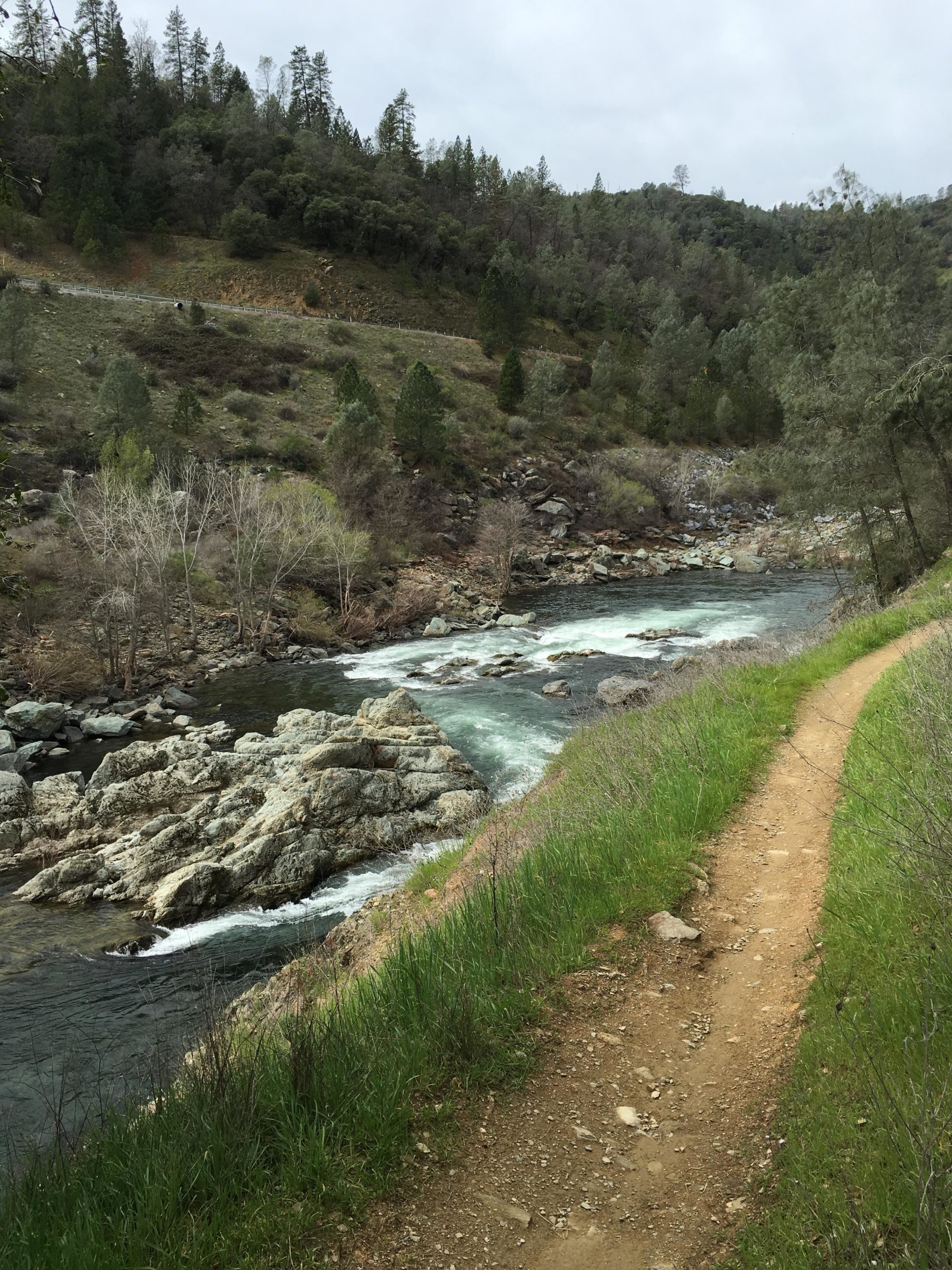 A scenic view of a river winding through a natural landscape, with rocky outcrops and lush greenery along the bank. A dirt path runs parallel to the water, bordered by tall grass and scattered trees. The sky is overcast, adding a serene, muted atmosphere to the setting. Foresthill Divide mountain bike trail.