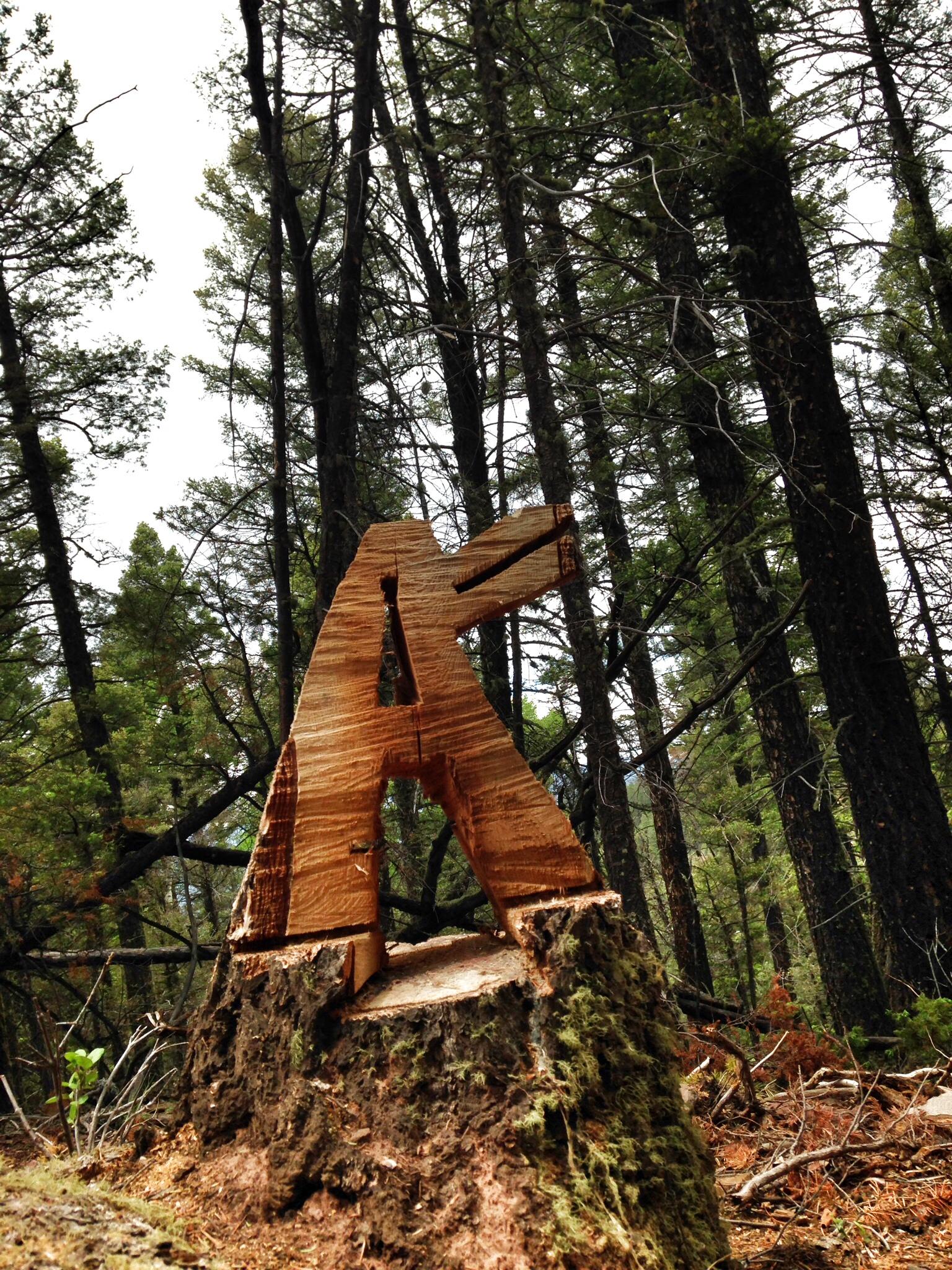 A carved wooden letter "A" standing on a tree stump, surrounded by dense forest with tall trees and a cloudy sky. Angel Fire Bike Park mountain bike trail.